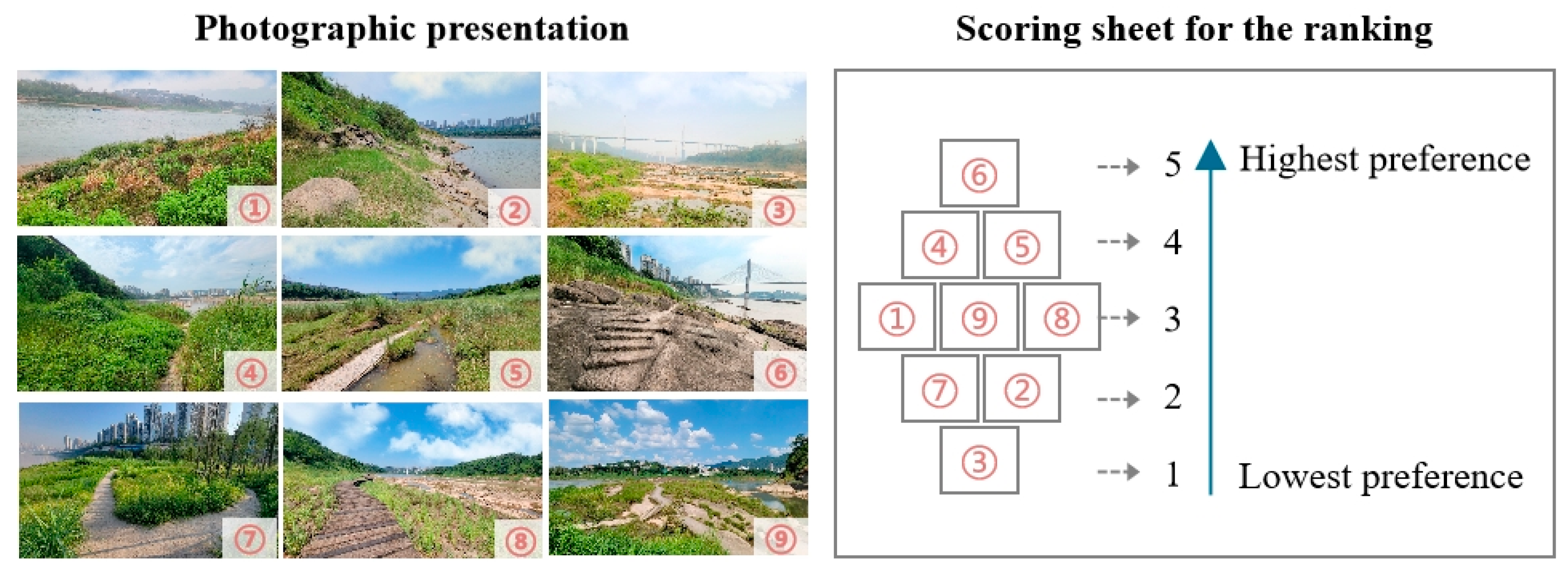 Forests 16 01734 g002