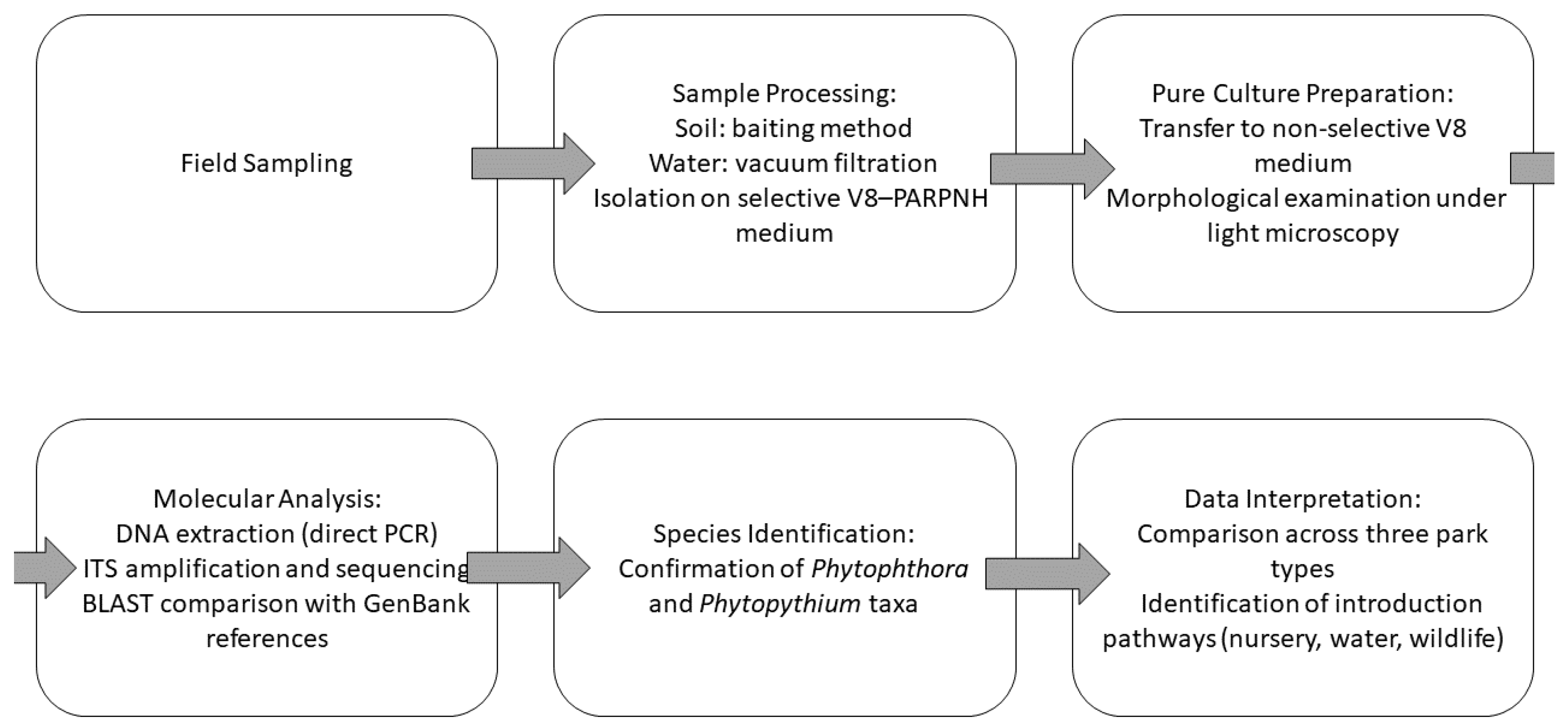 Forests 16 01736 g005