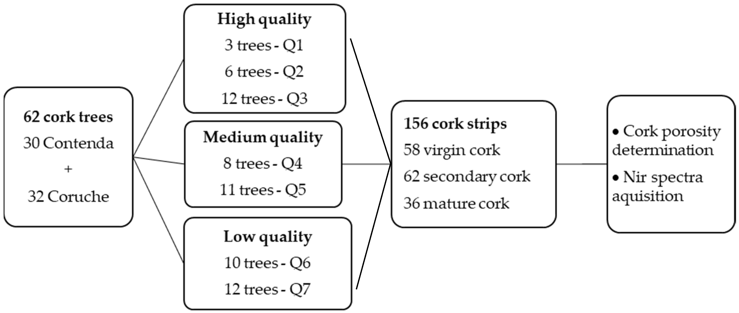 Forests 16 01737 g001 Forests 16 01737 g001