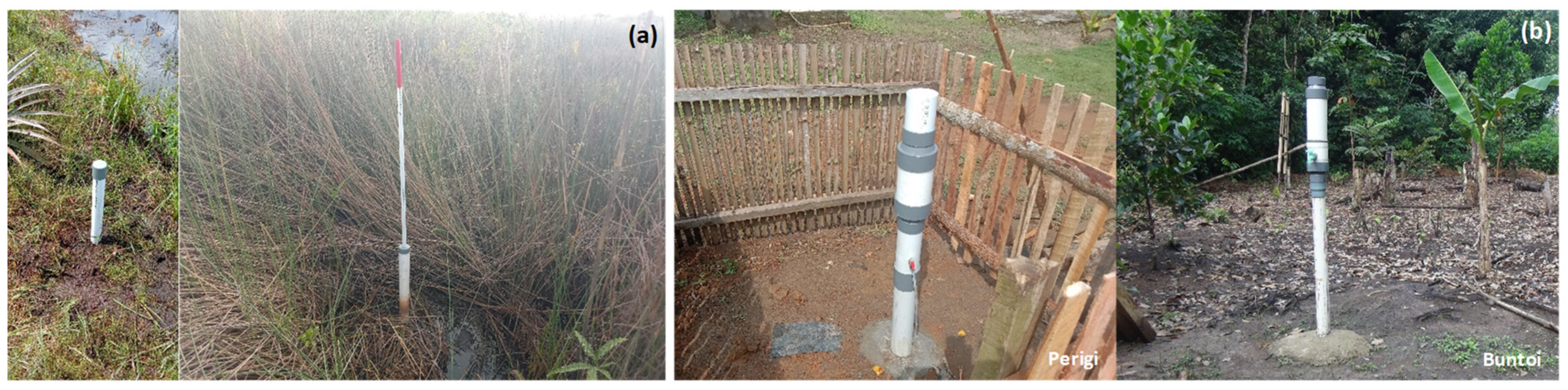 Forests 16 01740 g002