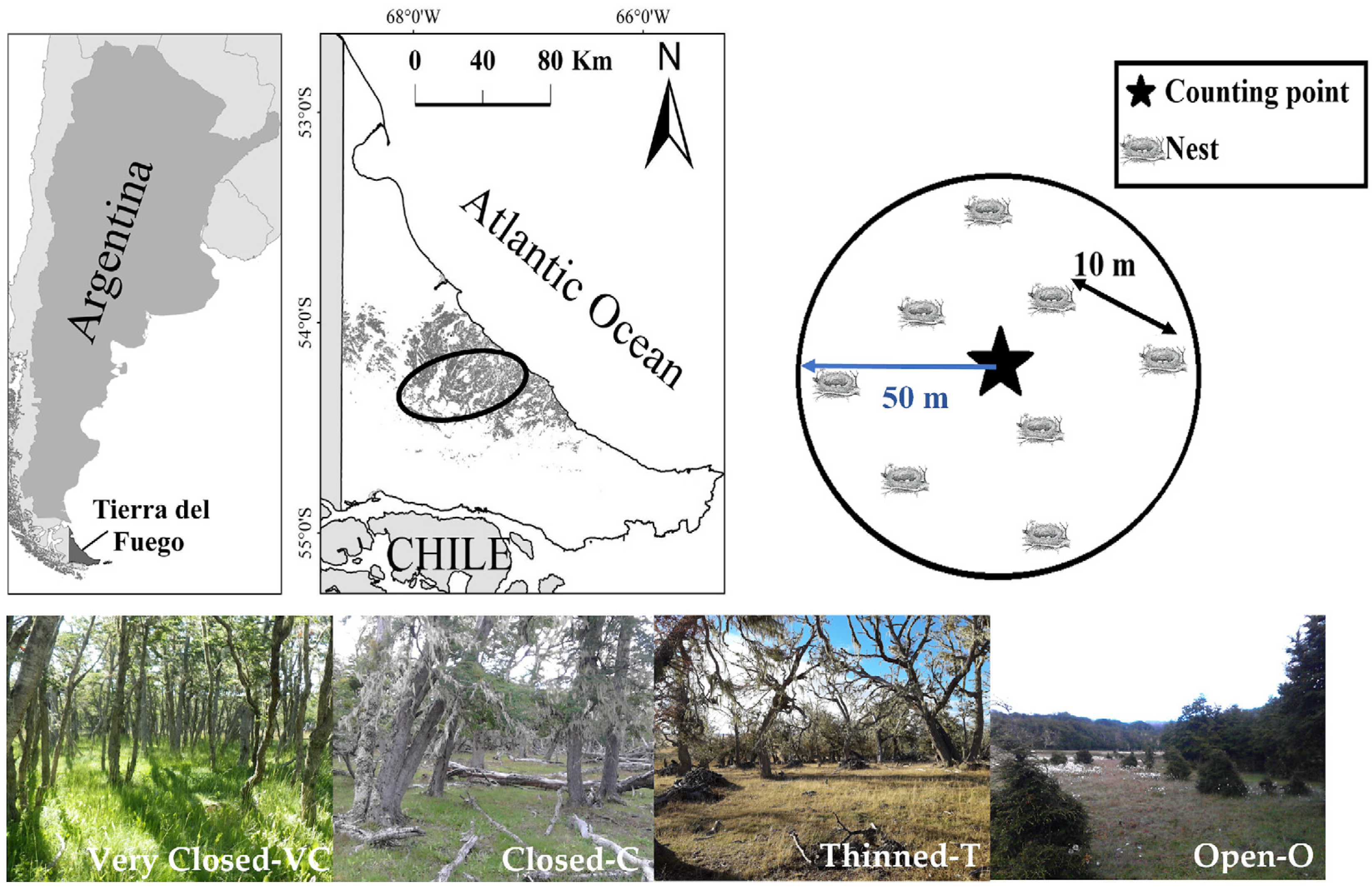 Forests 16 01741 g001