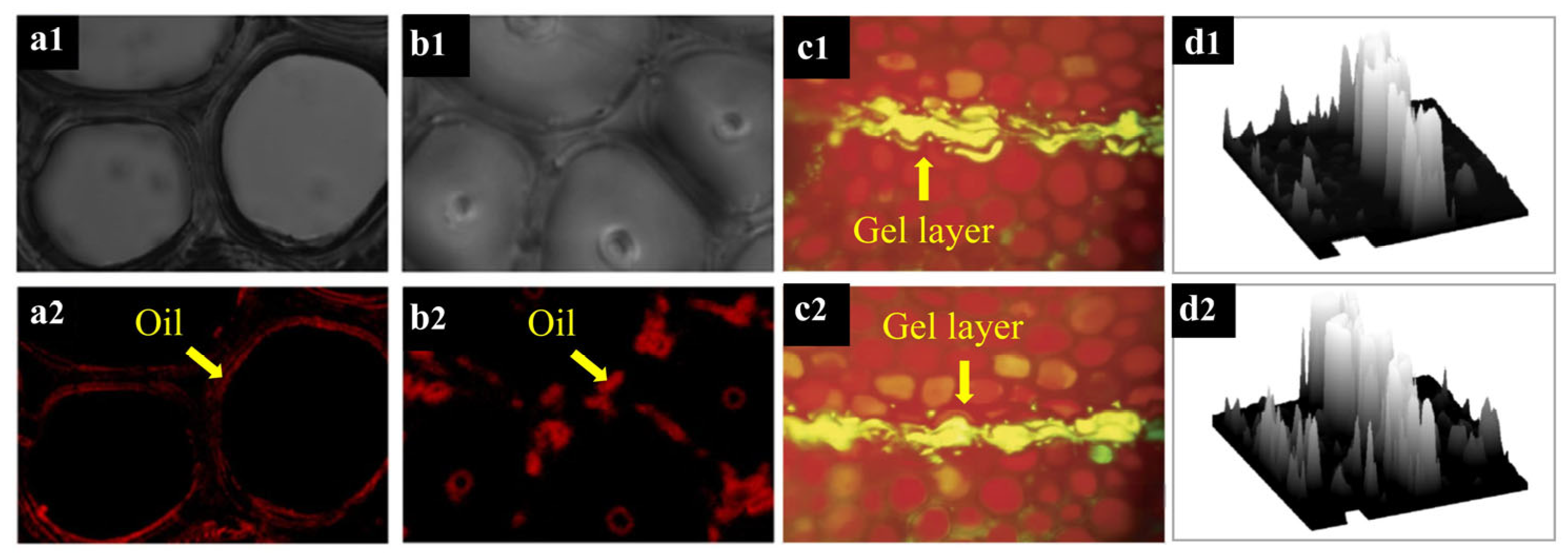 Forests 16 01744 g011