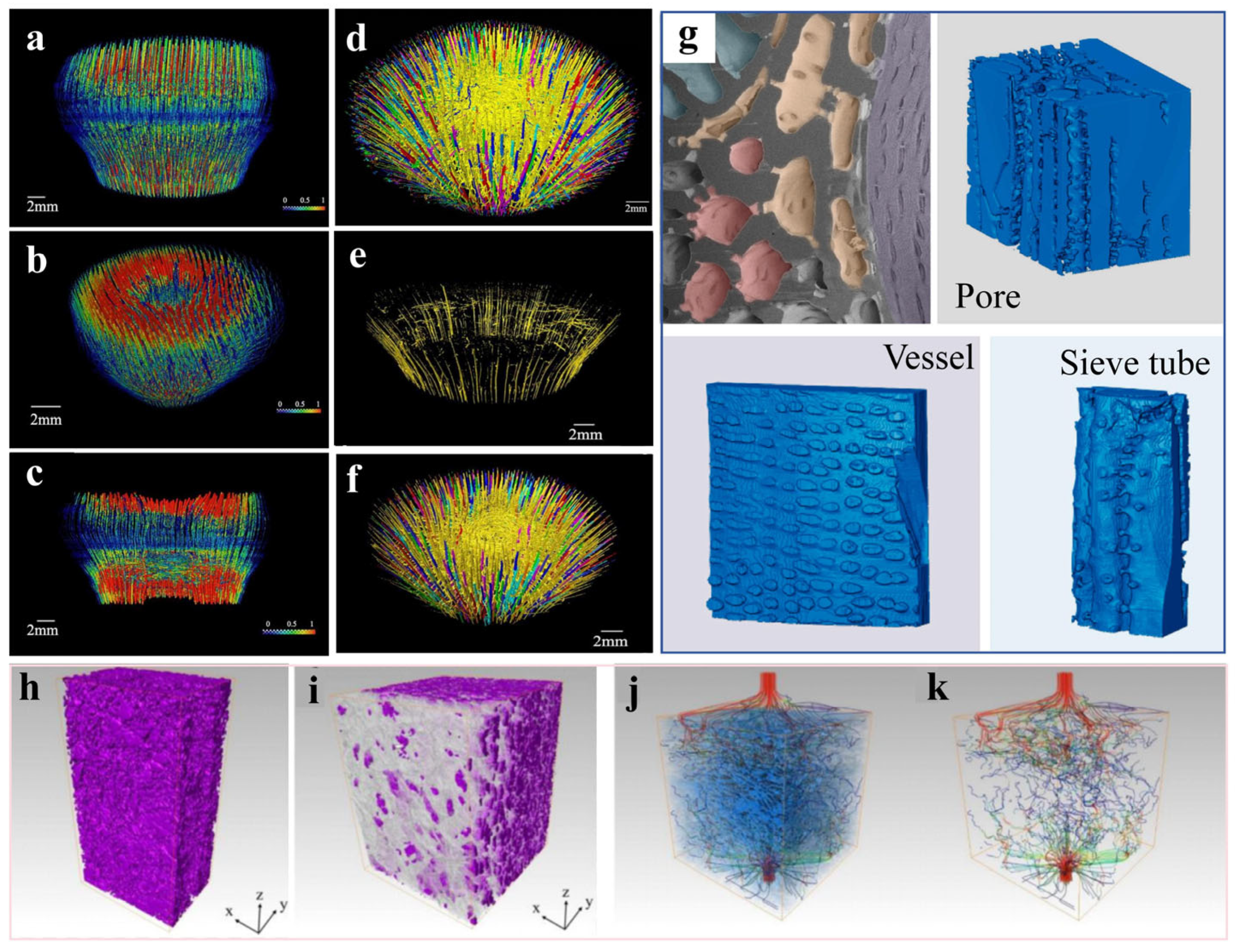 Forests 16 01744 g012