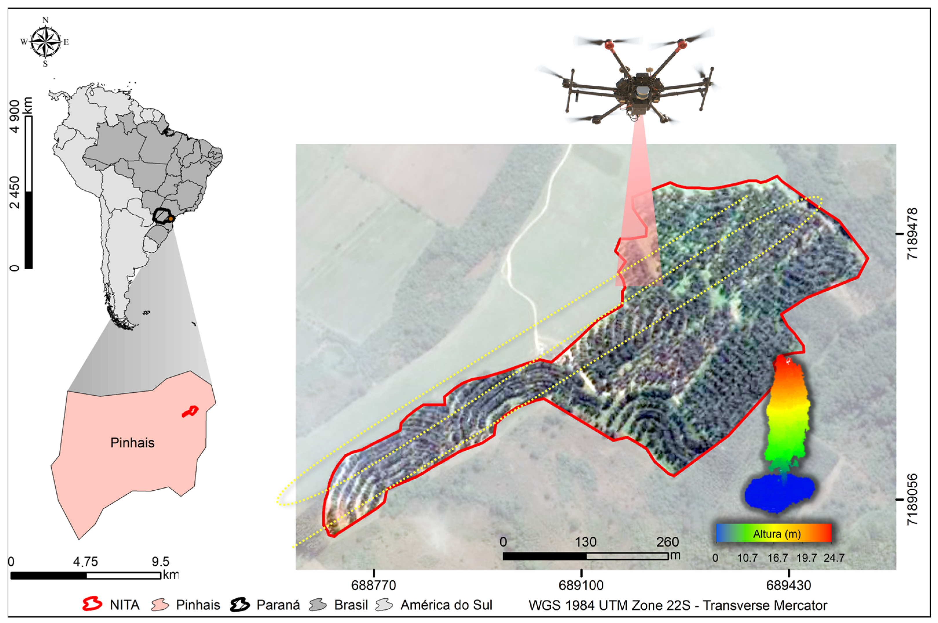 Forests 16 01747 g001