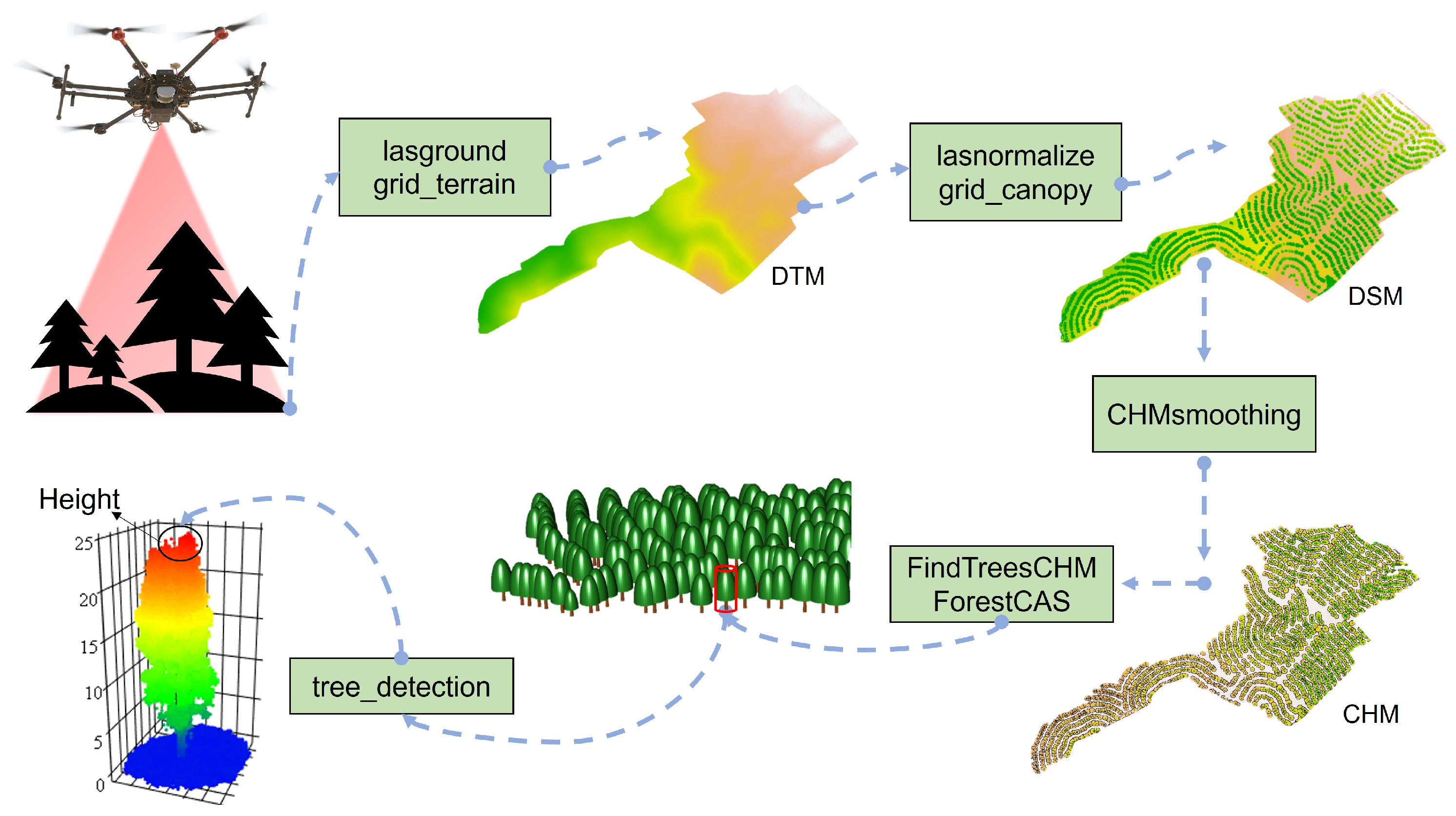 Forests 16 01747 g002