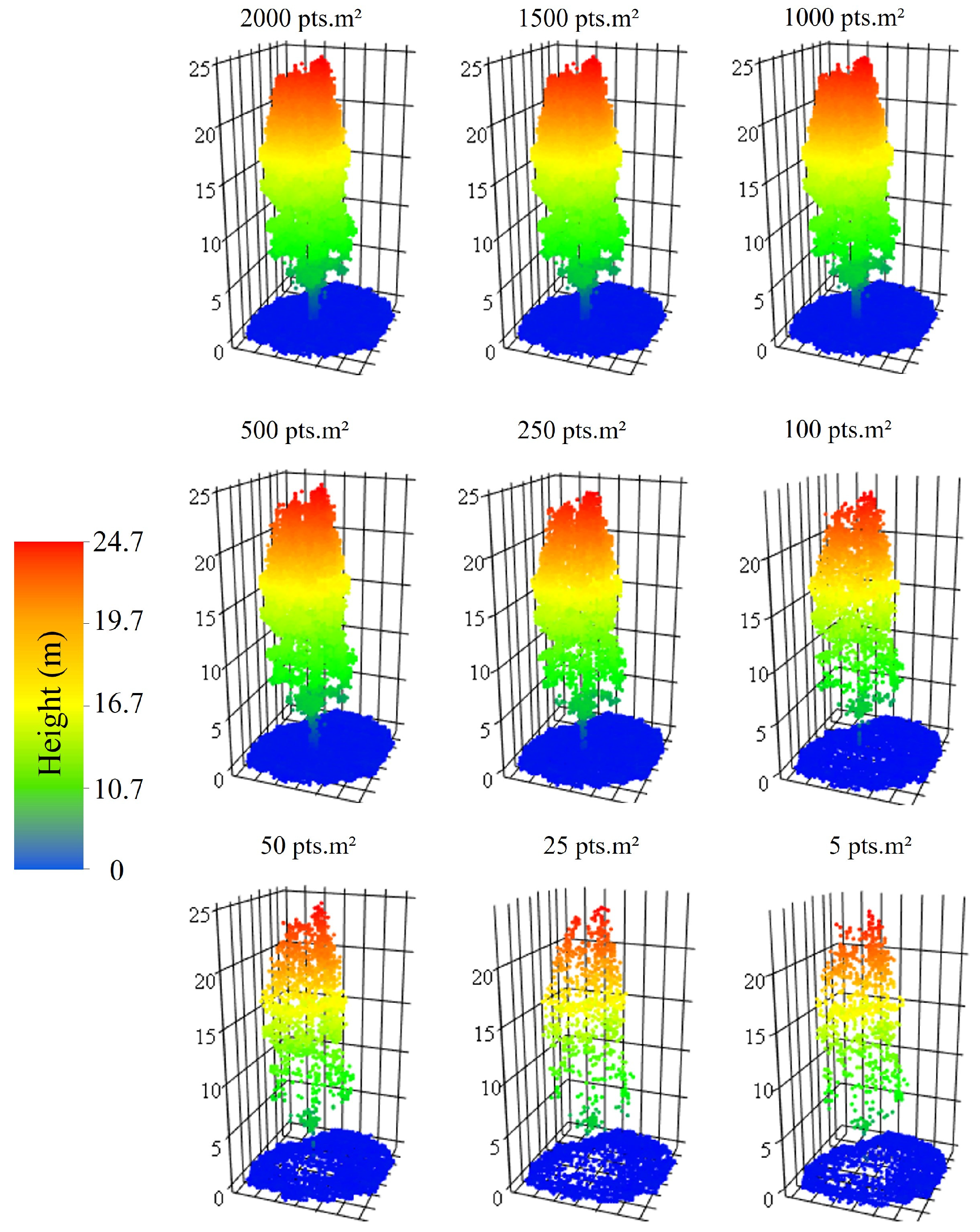 Forests 16 01747 g003