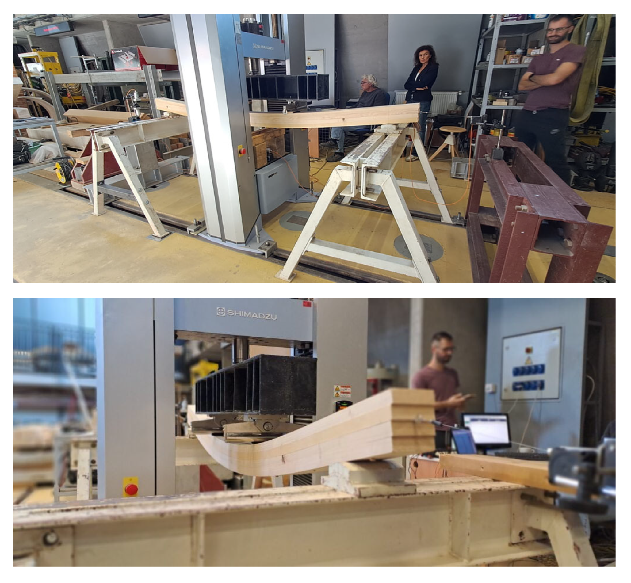 Forests 16 01748 g003