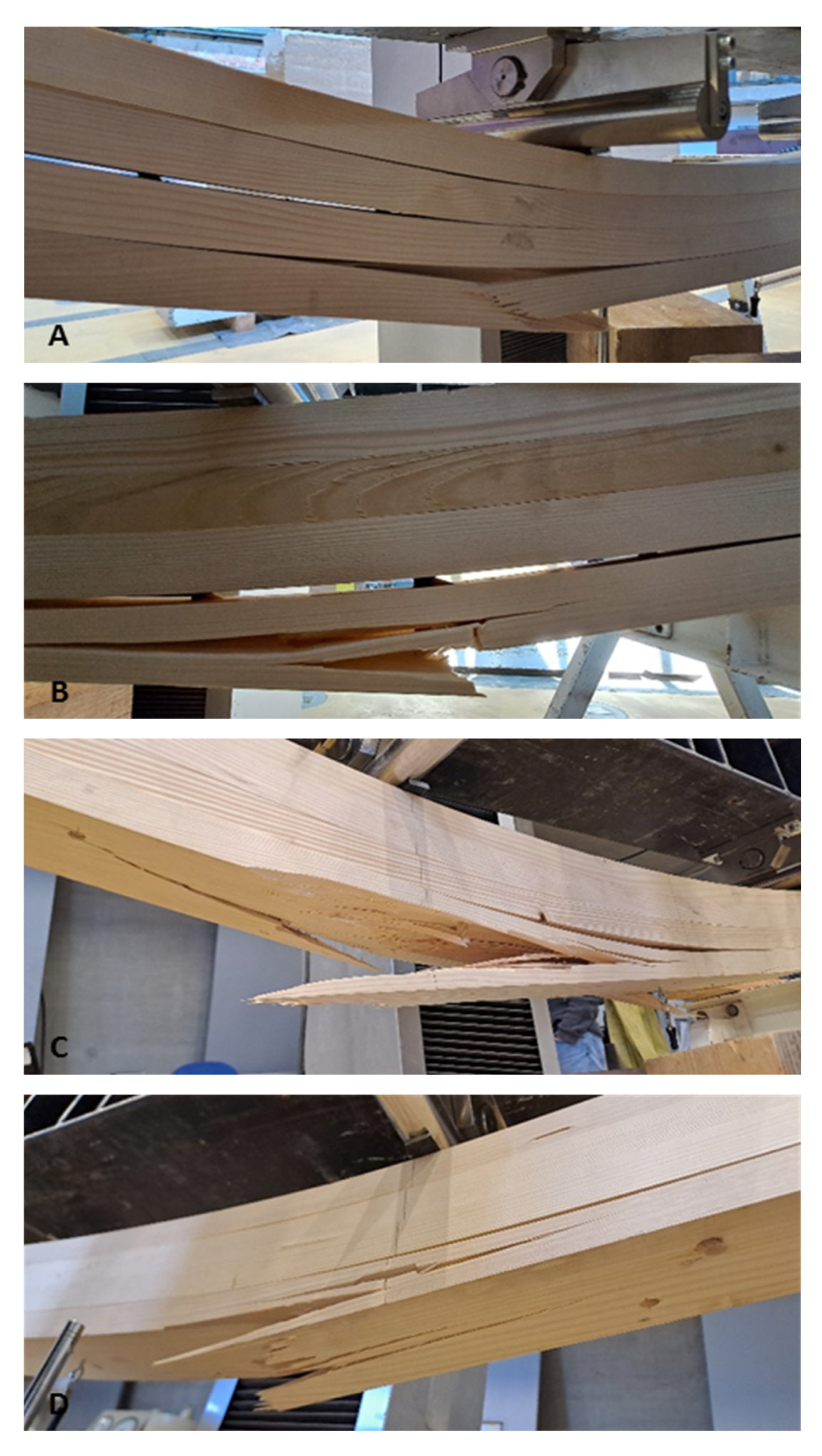 Forests 16 01748 g006