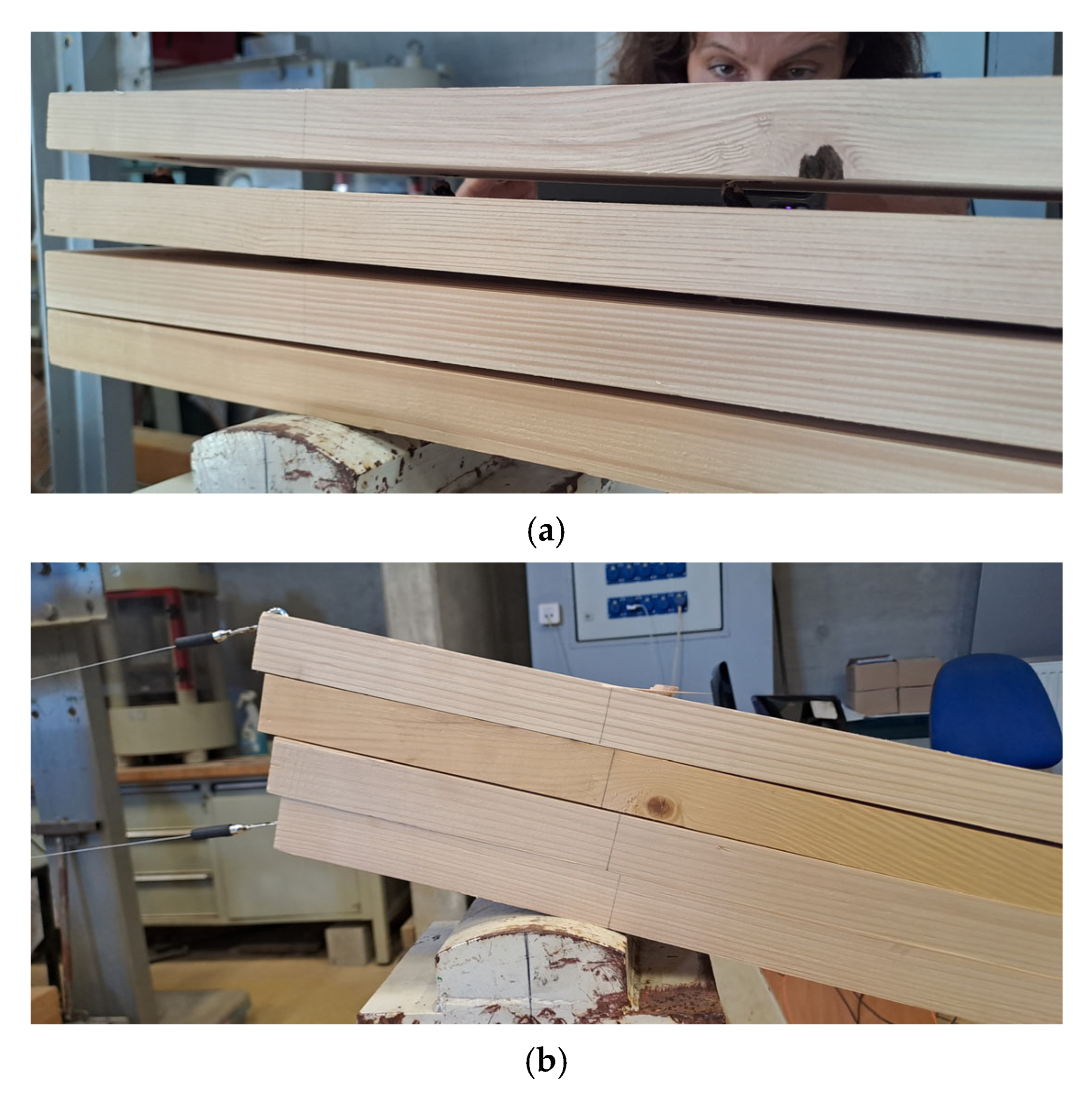 Forests 16 01748 g007