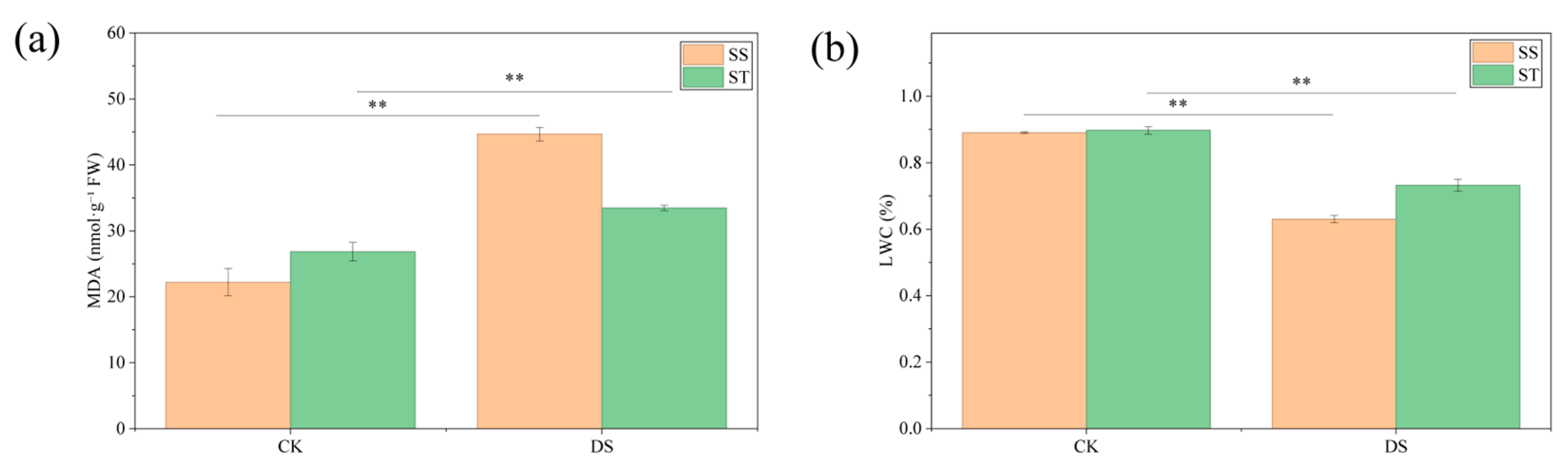 Forests 16 01750 g002