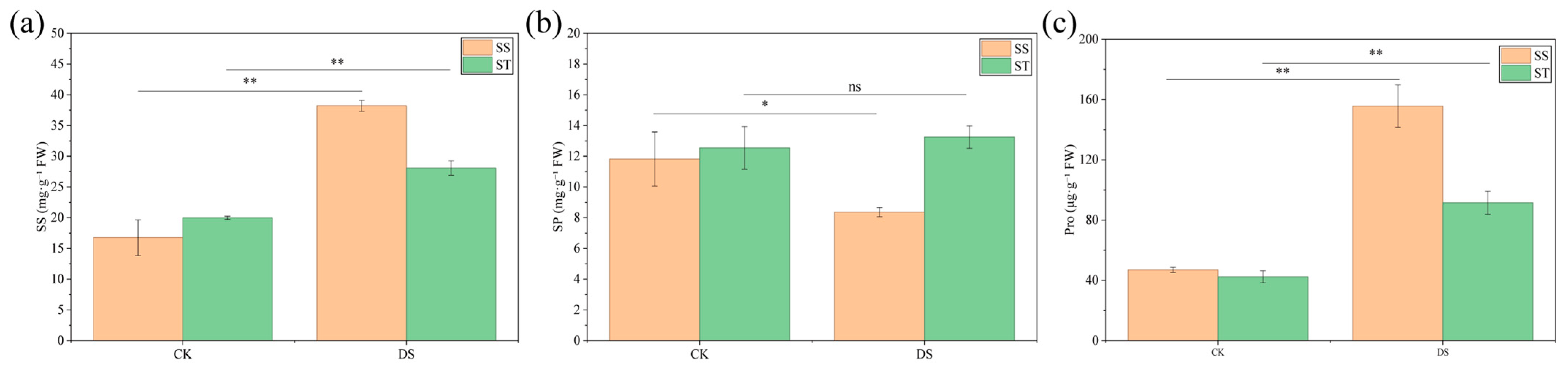 Forests 16 01750 g004