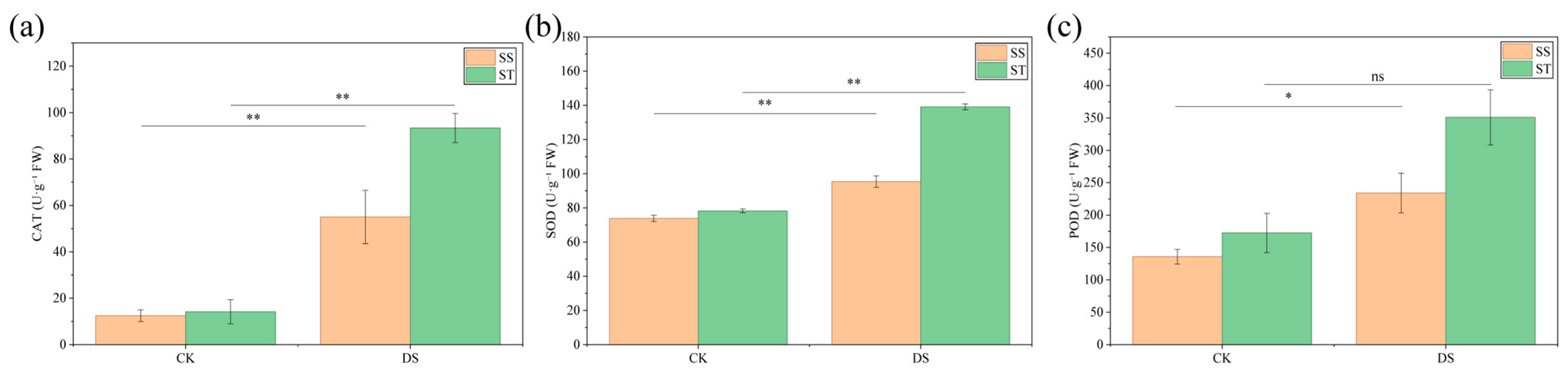 Forests 16 01750 g005