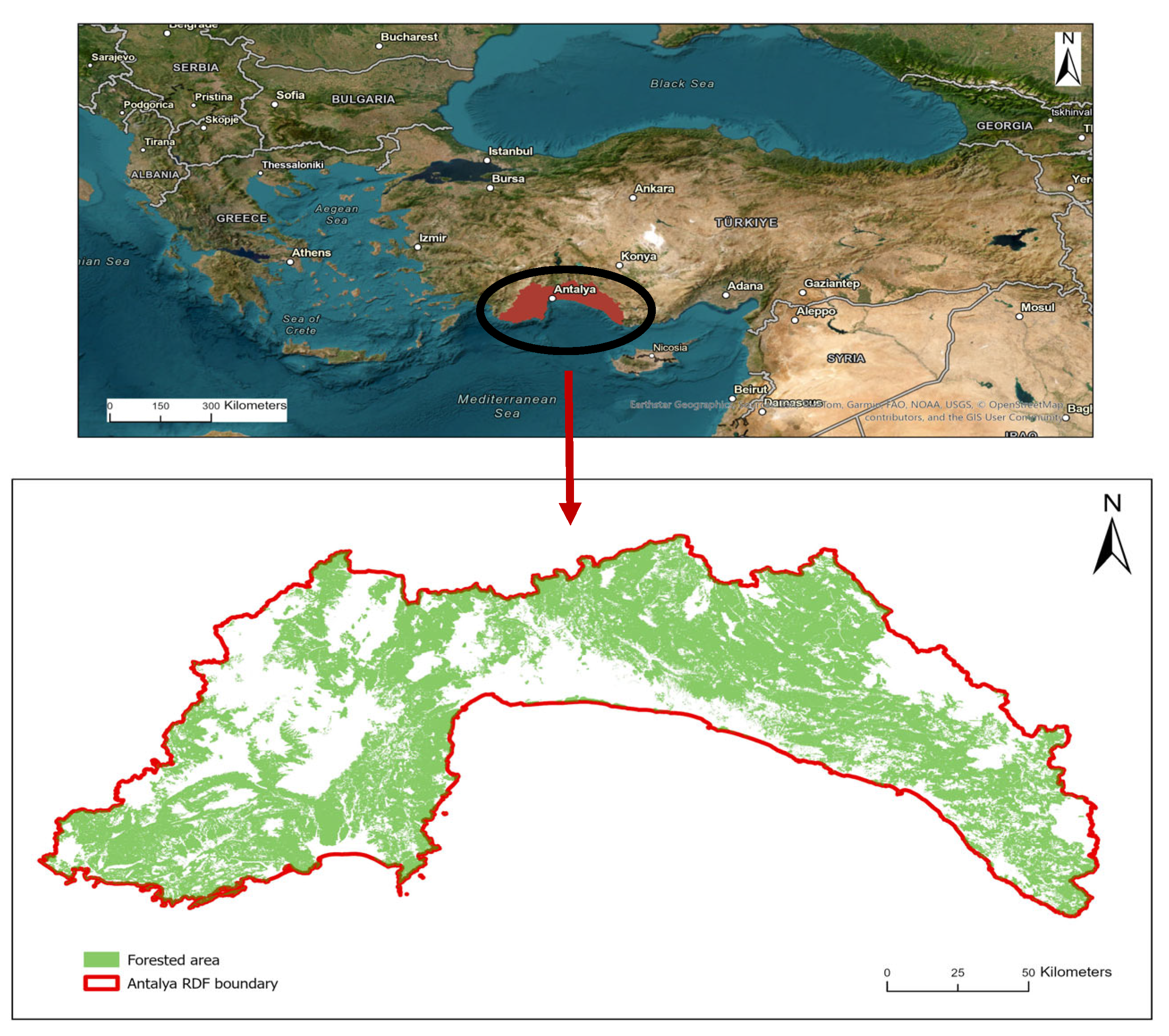 Forests 16 01755 g001