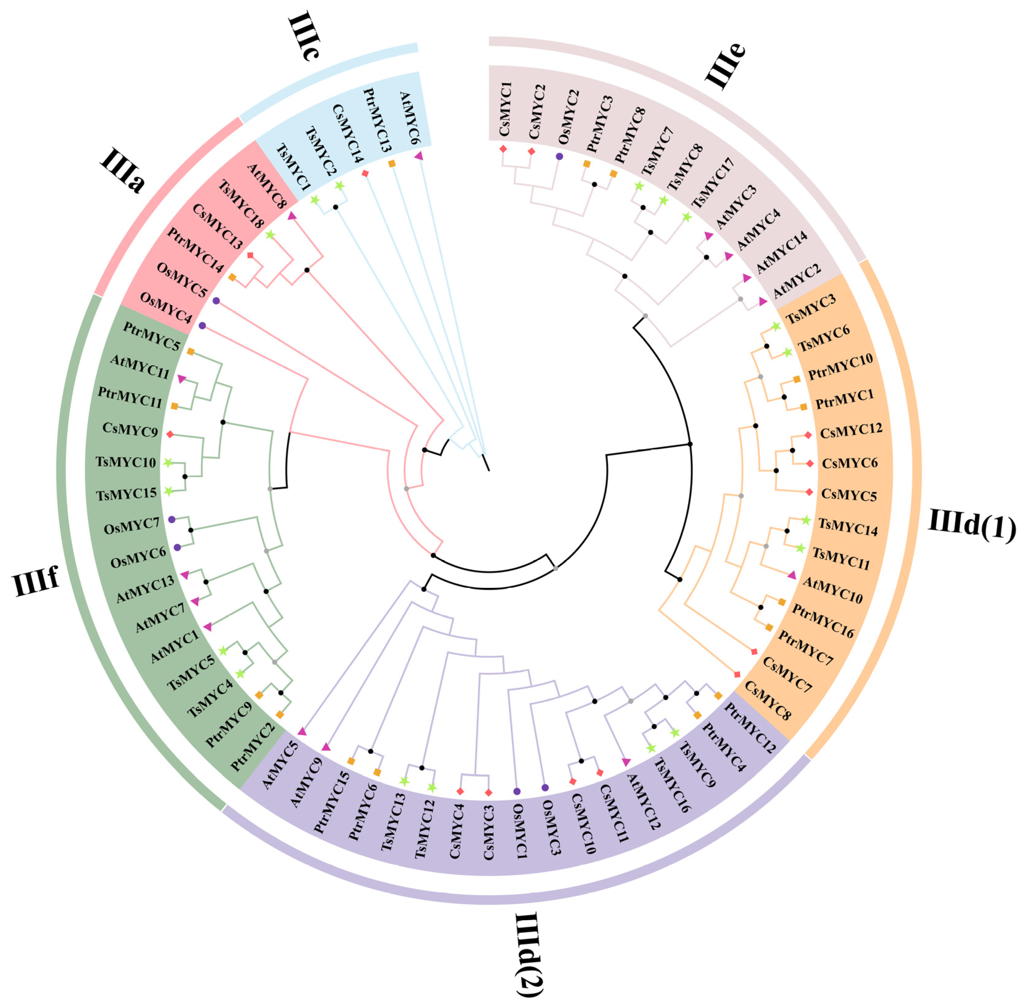 Forests 16 01756 g001