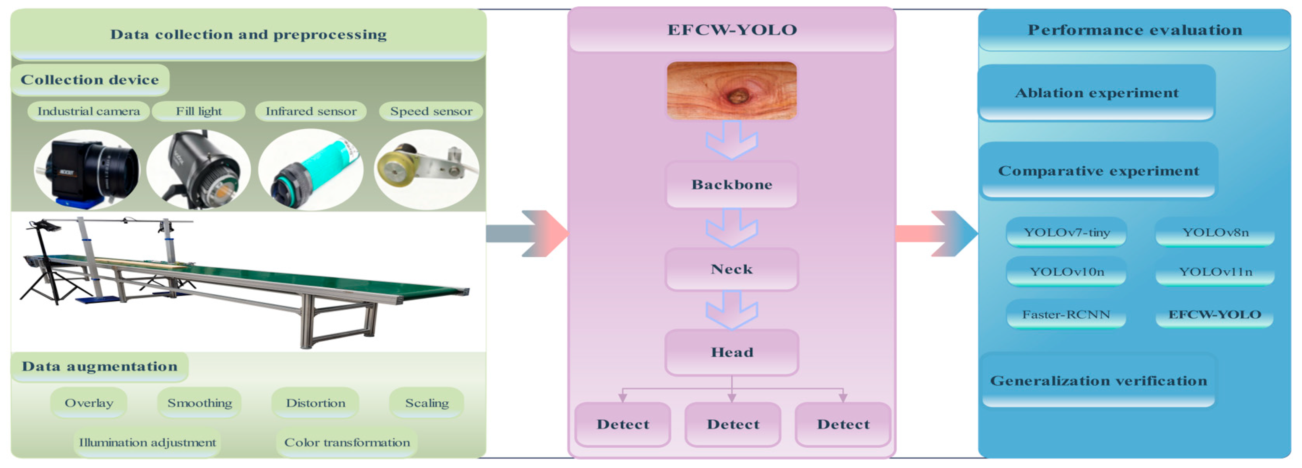 Forests 16 01757 g002