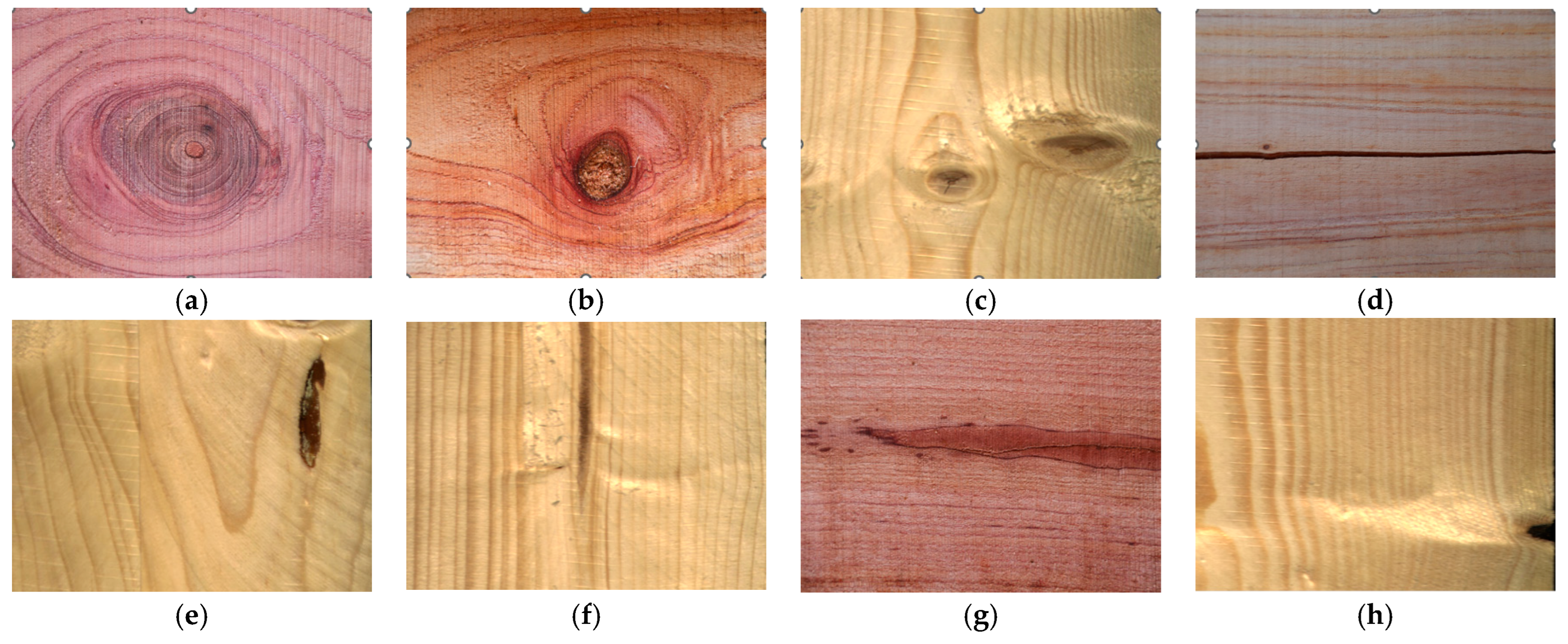 Forests 16 01757 g004