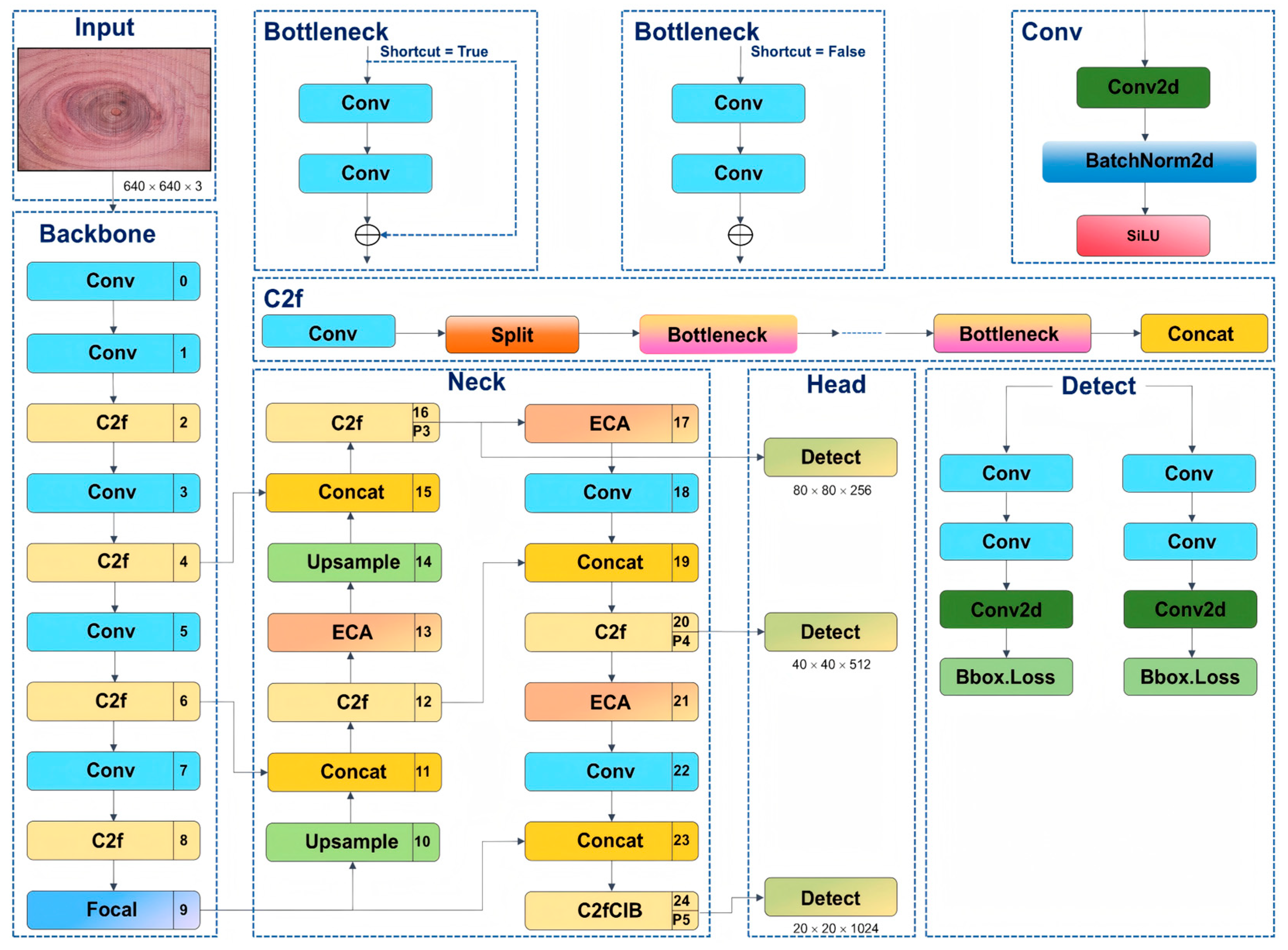 Forests 16 01757 g005