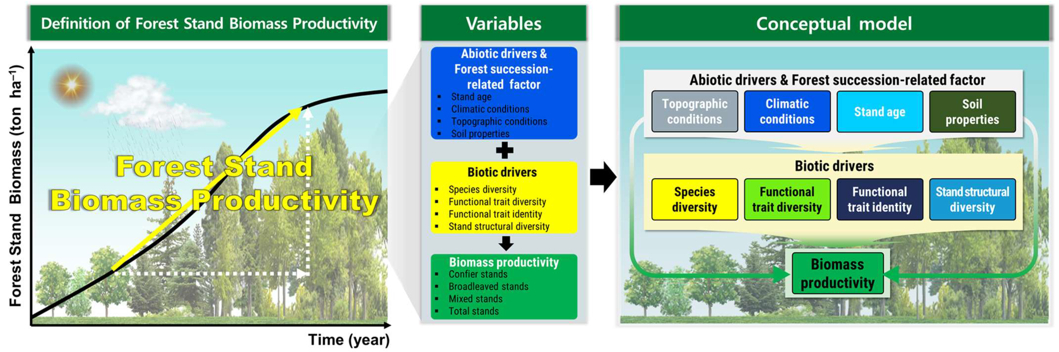 Forests 16 01759 g001