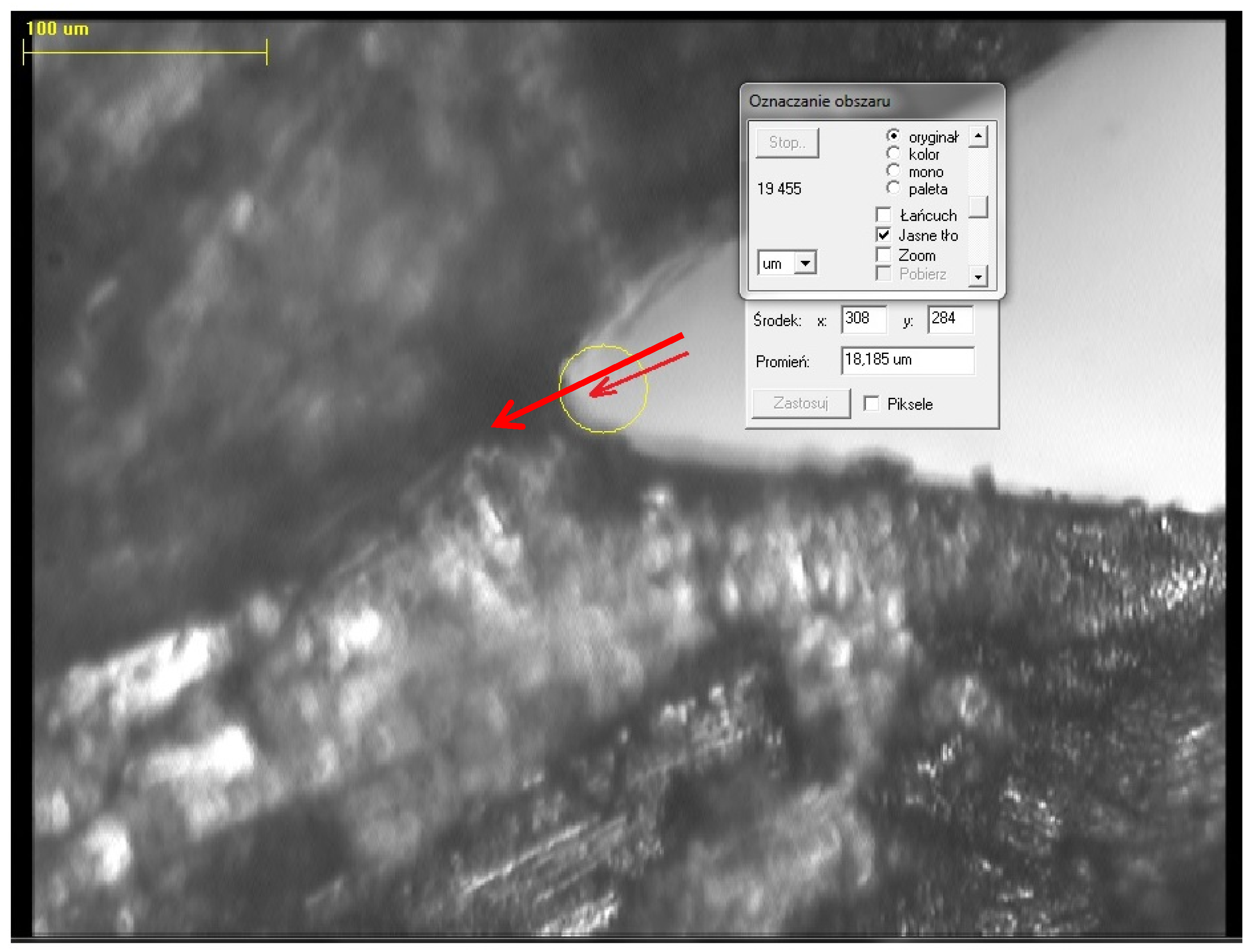 Forests 16 01763 g003 Forests 16 01763 g003