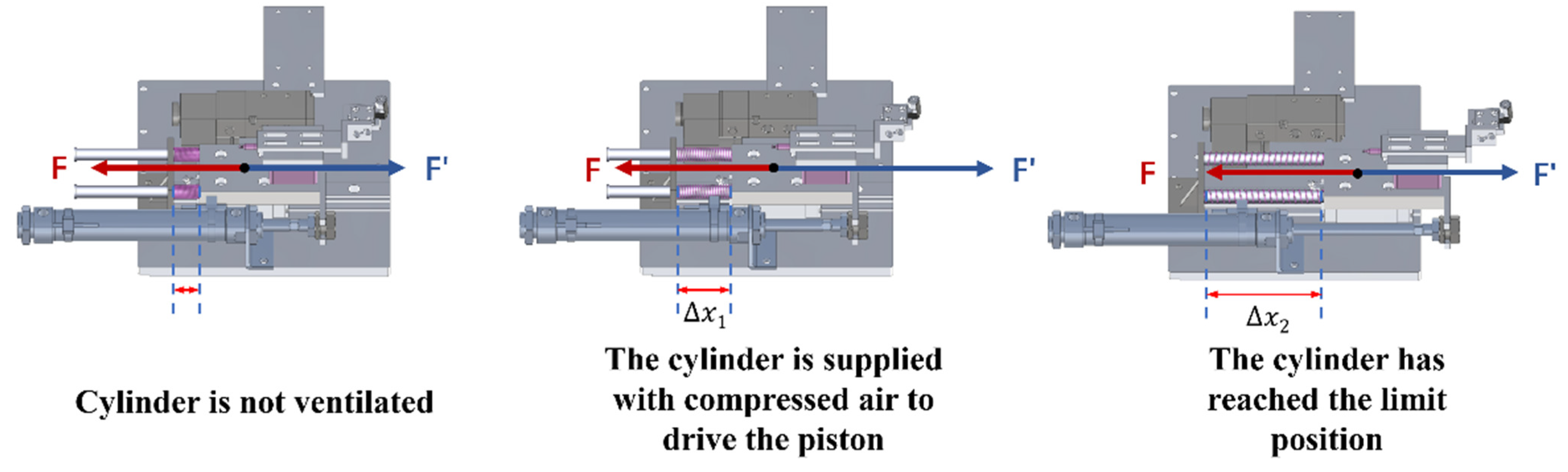 Forests 16 01764 g002 Forests 16 01764 g002