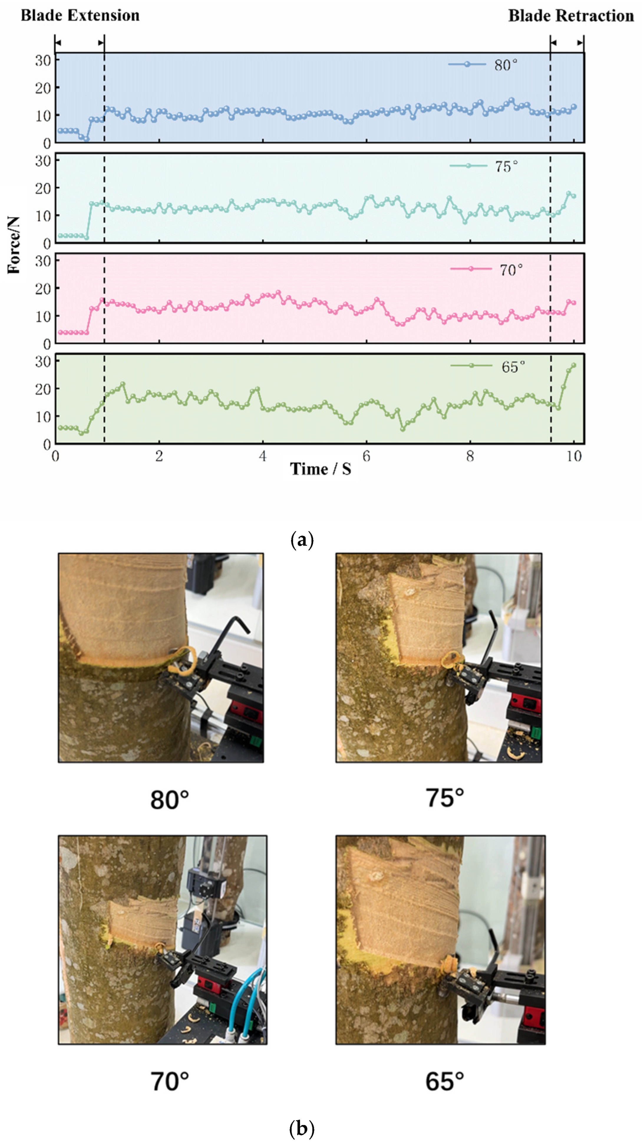 Forests 16 01764 g009 Forests 16 01764 g009