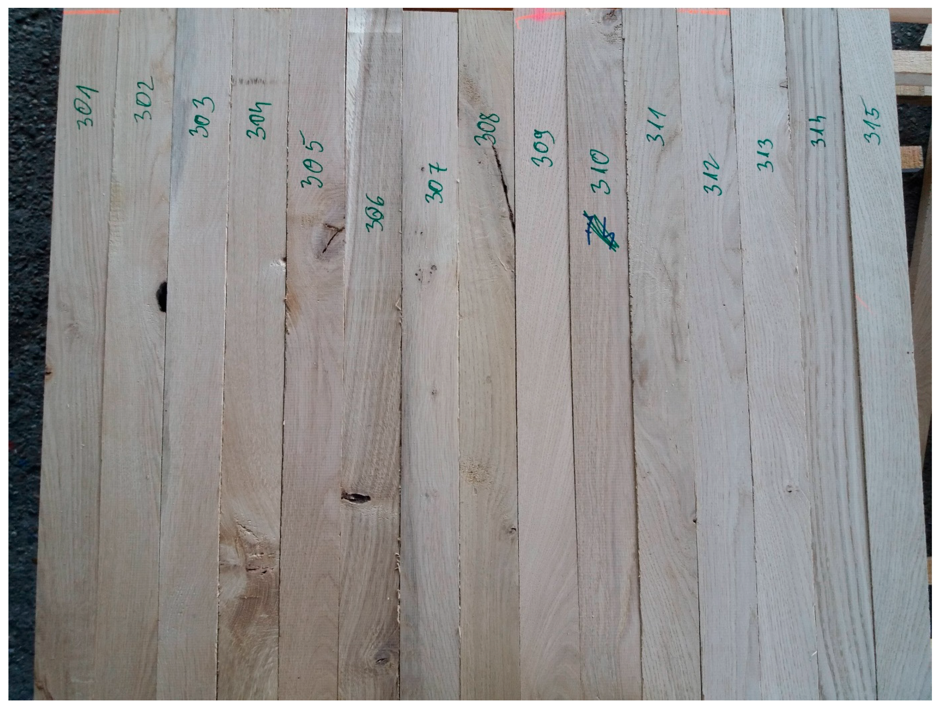 Forests 16 01767 g001