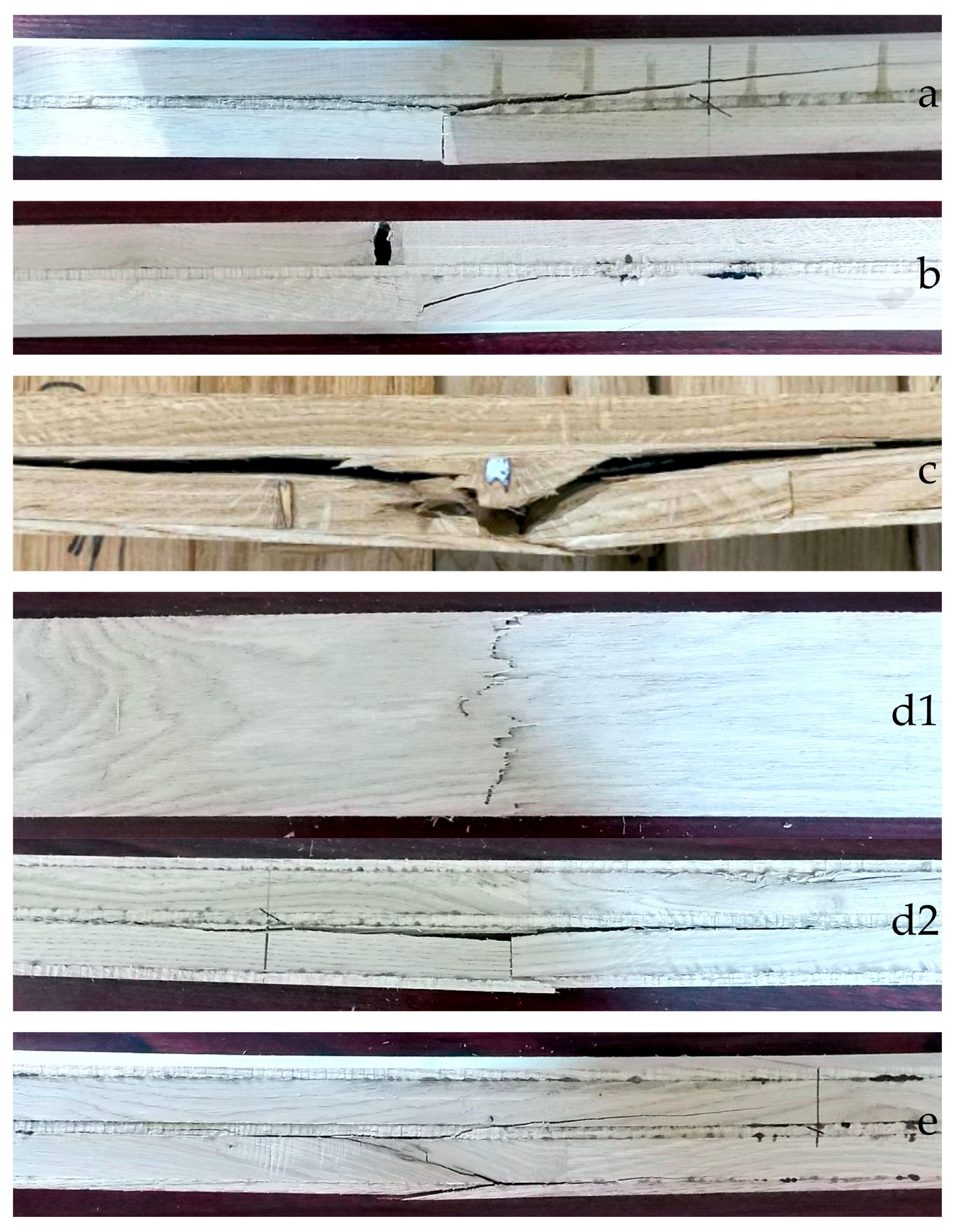 Forests 16 01767 g004