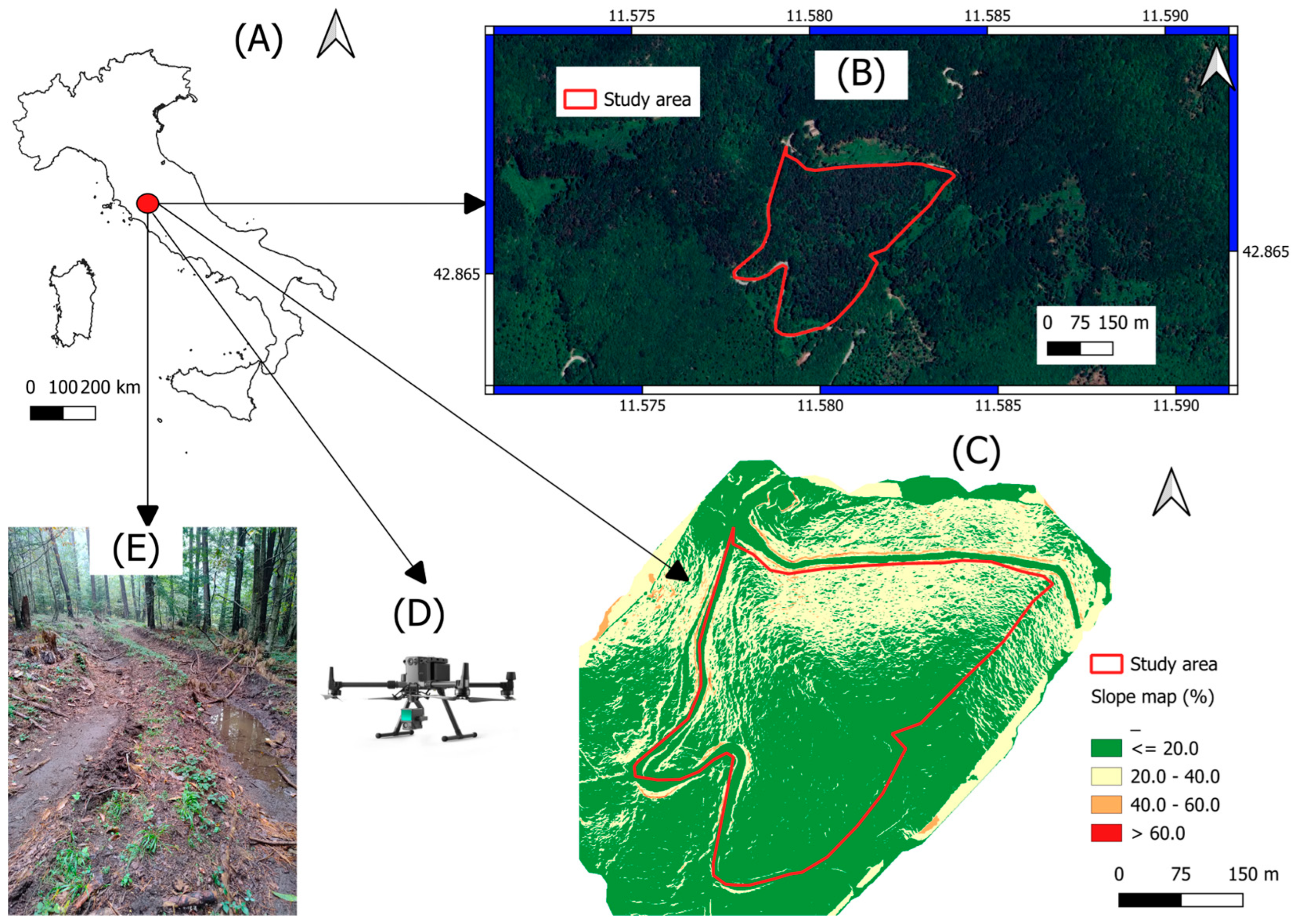 Forests 16 01768 g001 Forests 16 01768 g001