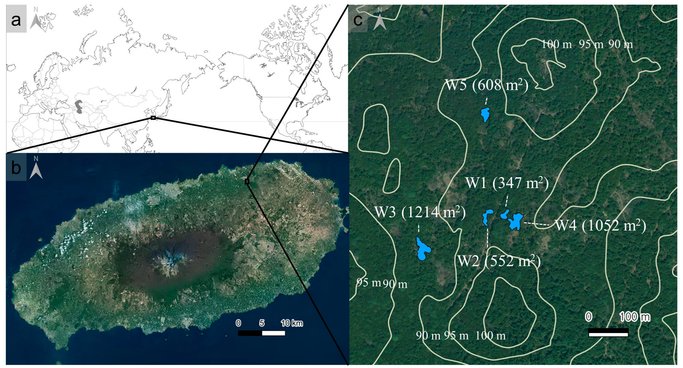 Forests 16 01770 g001