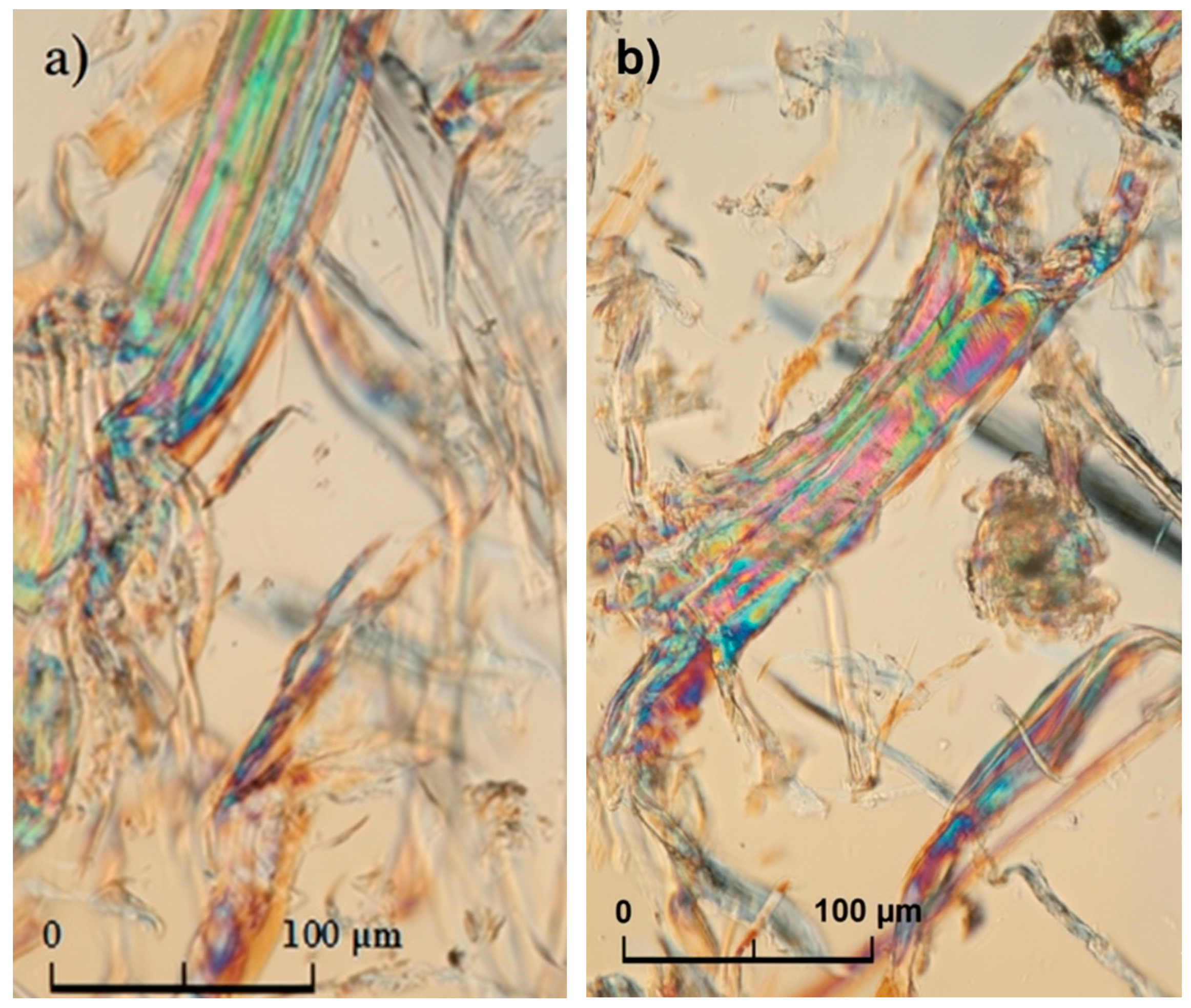 Forests 16 01771 g004