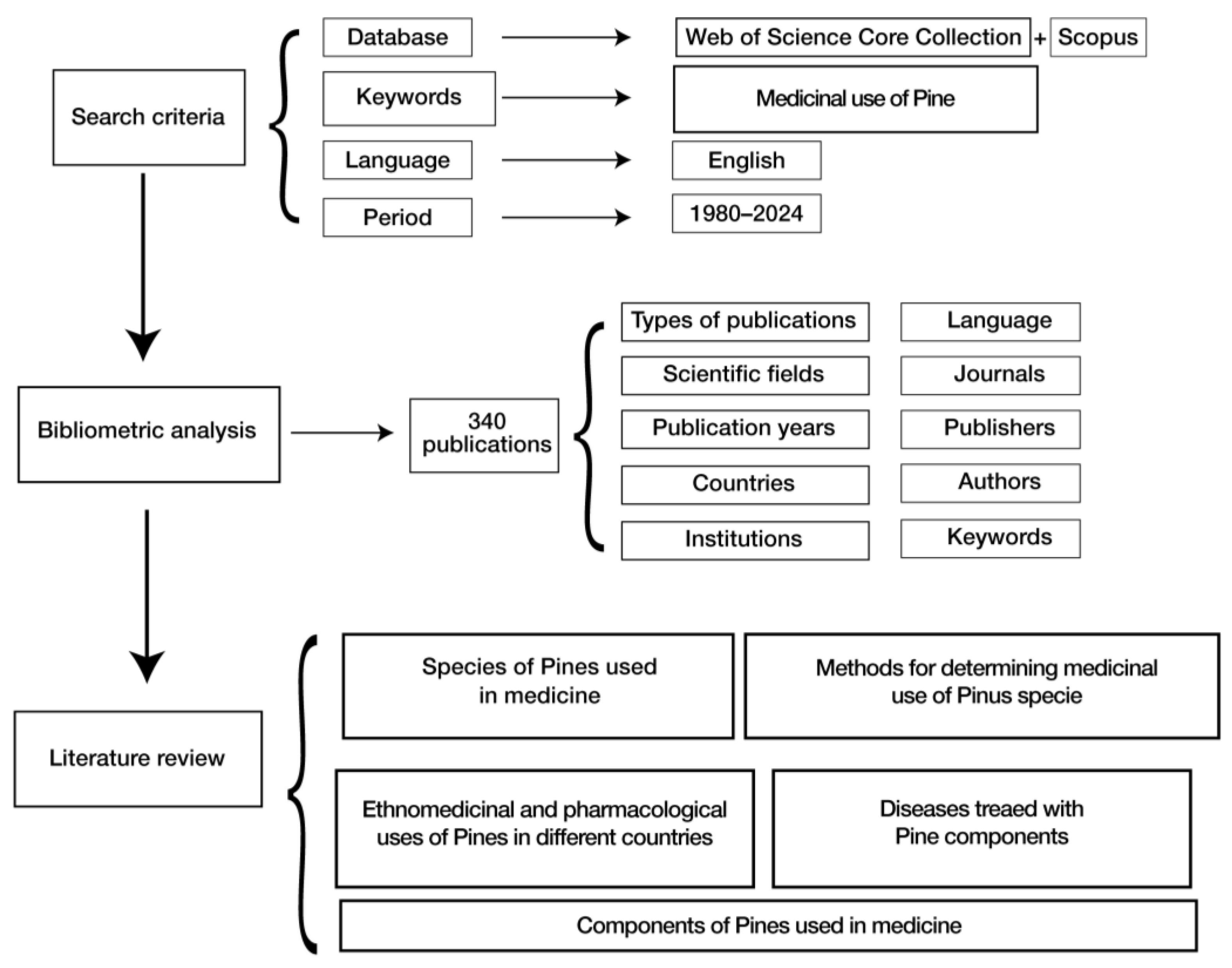 Forests 16 01772 g002 Forests 16 01772 g002