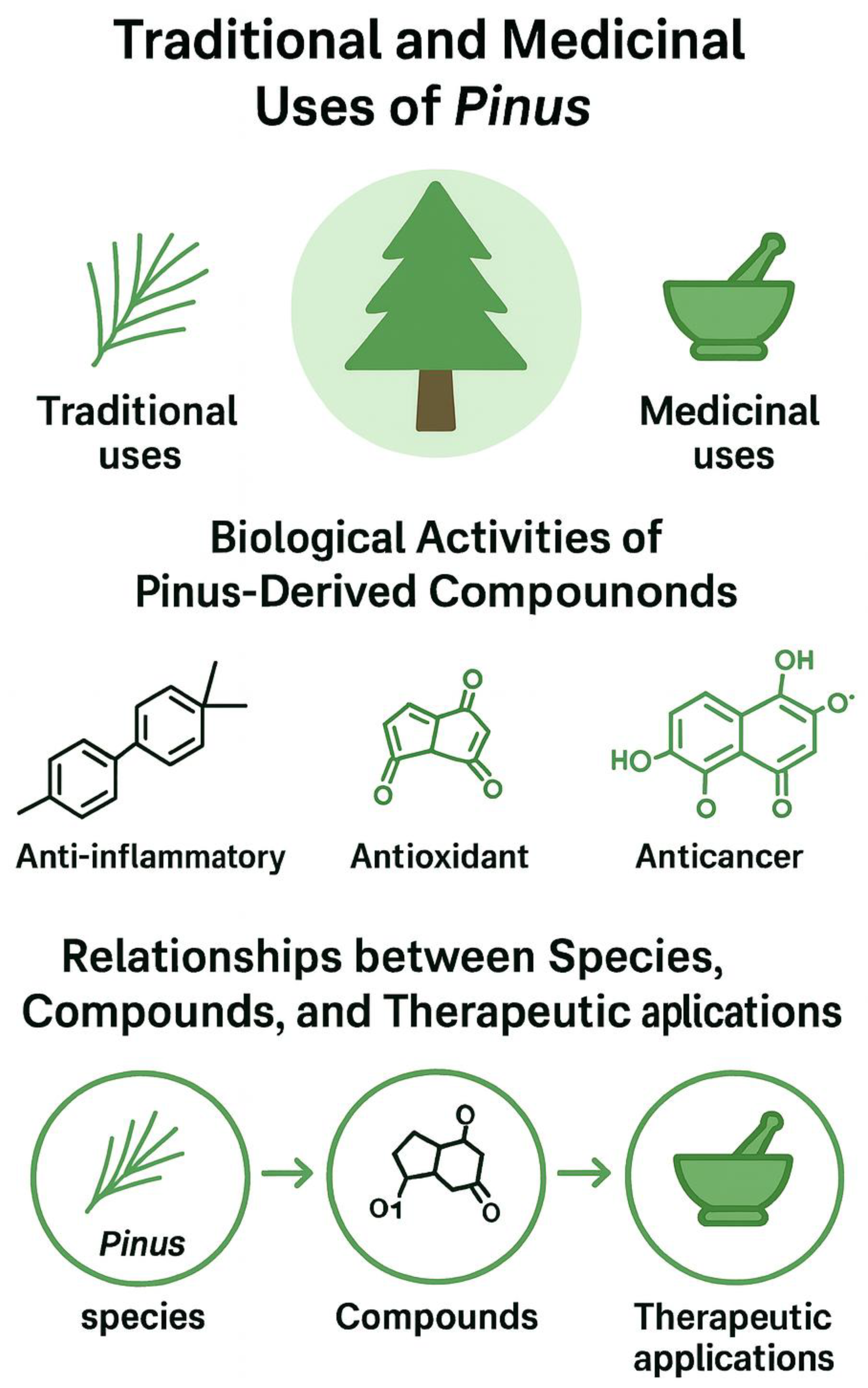 Forests 16 01772 g008 Forests 16 01772 g008