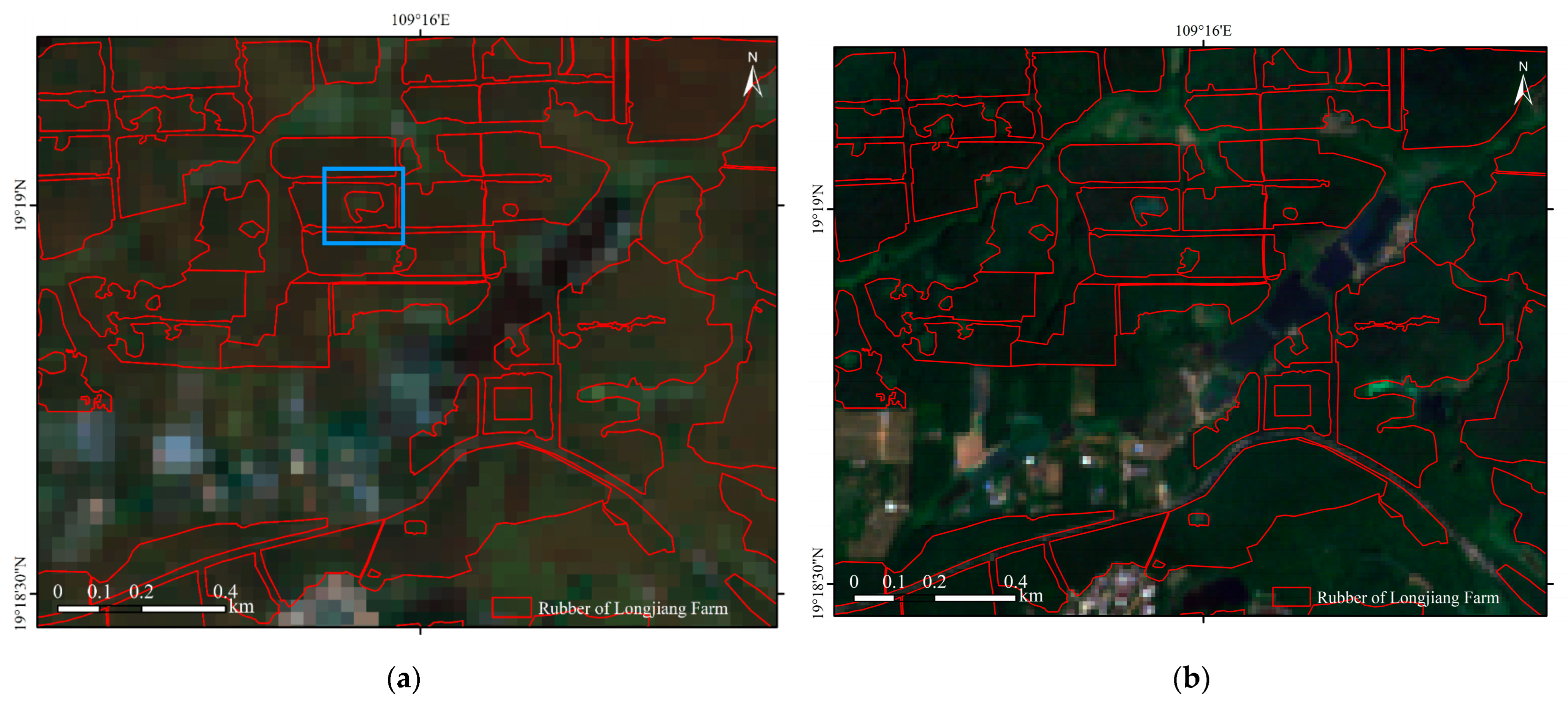 Forests 16 01773 g009a Forests 16 01773 g009a