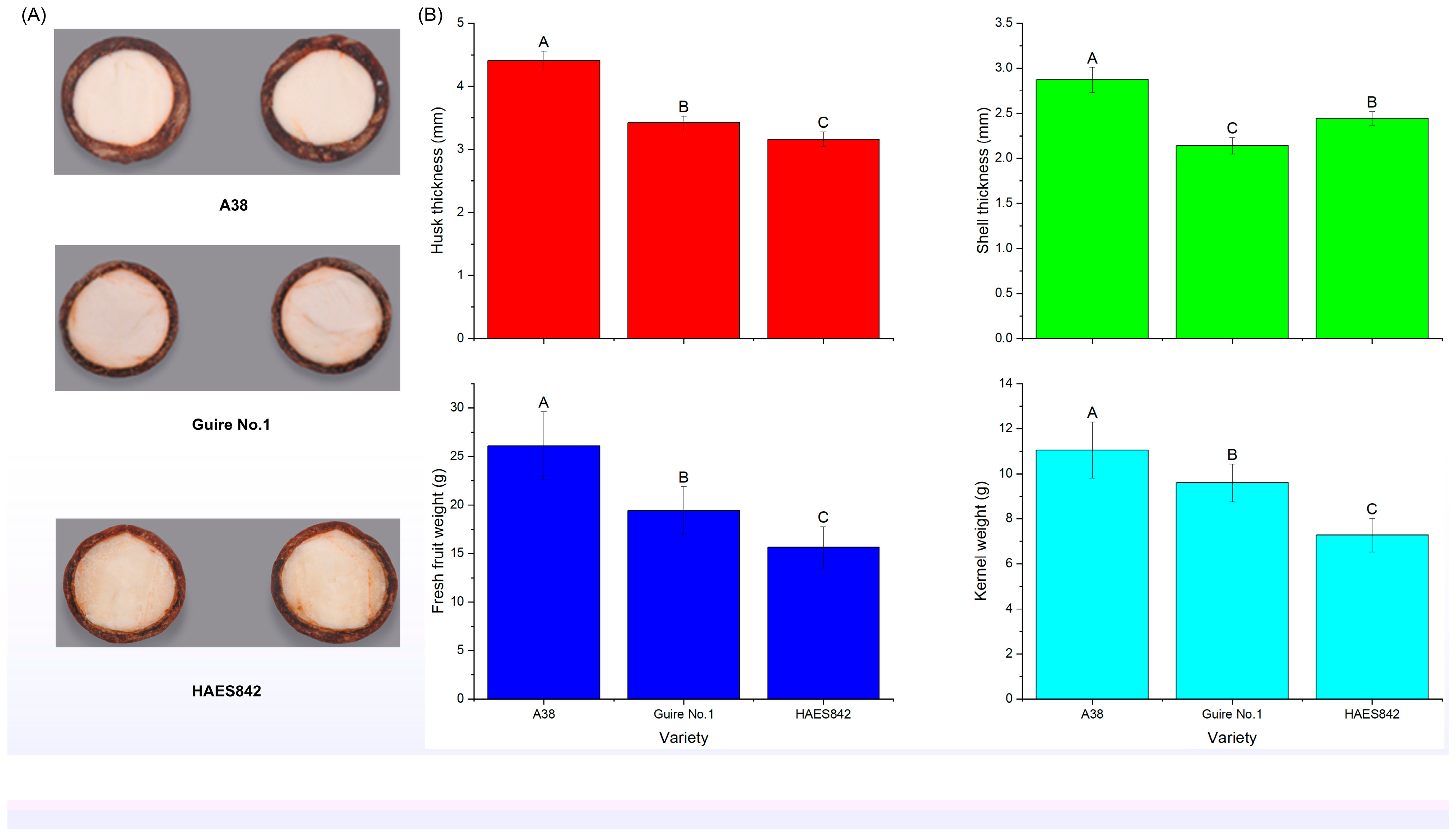 Forests 16 01775 g002