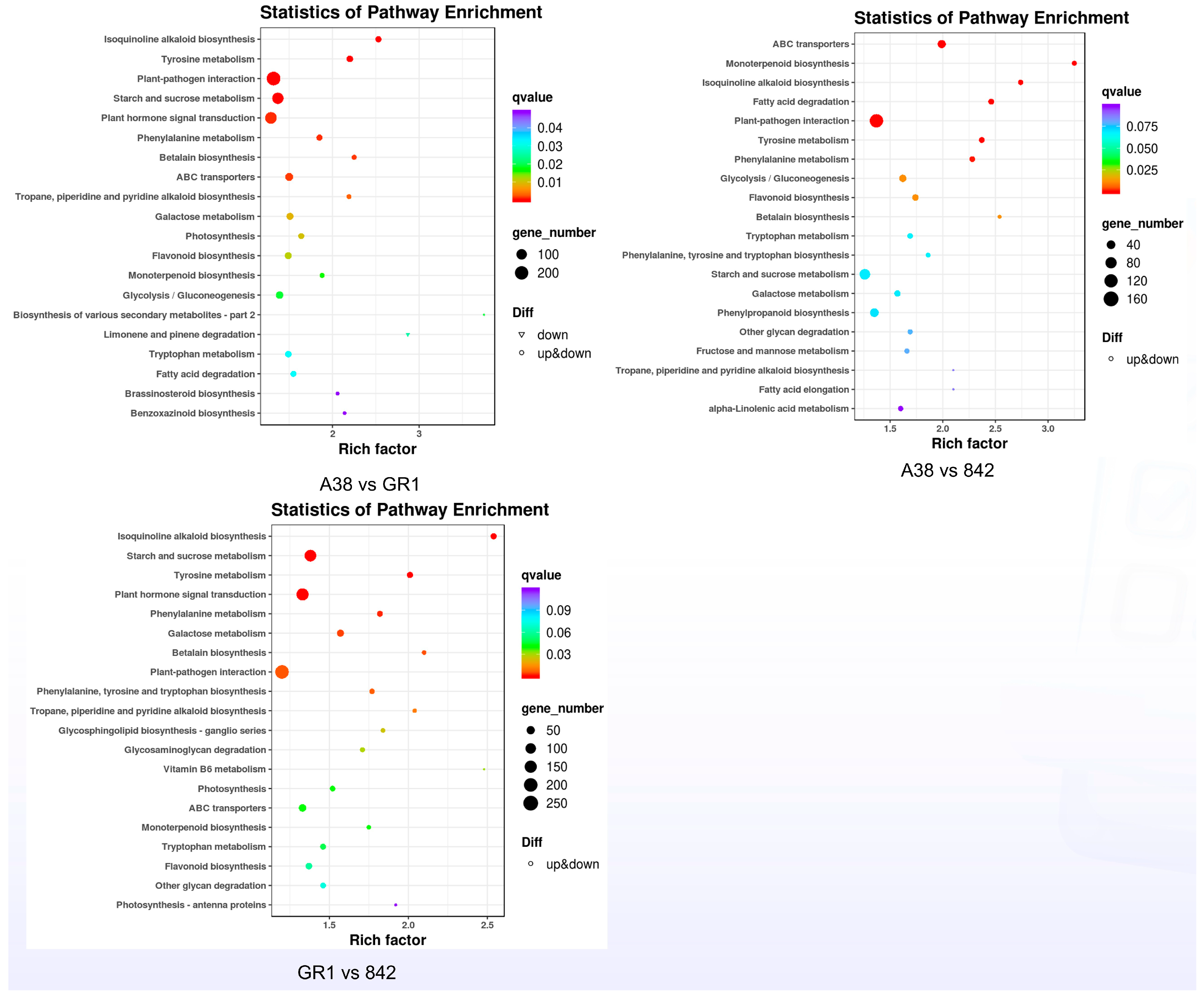 Forests 16 01775 g005
