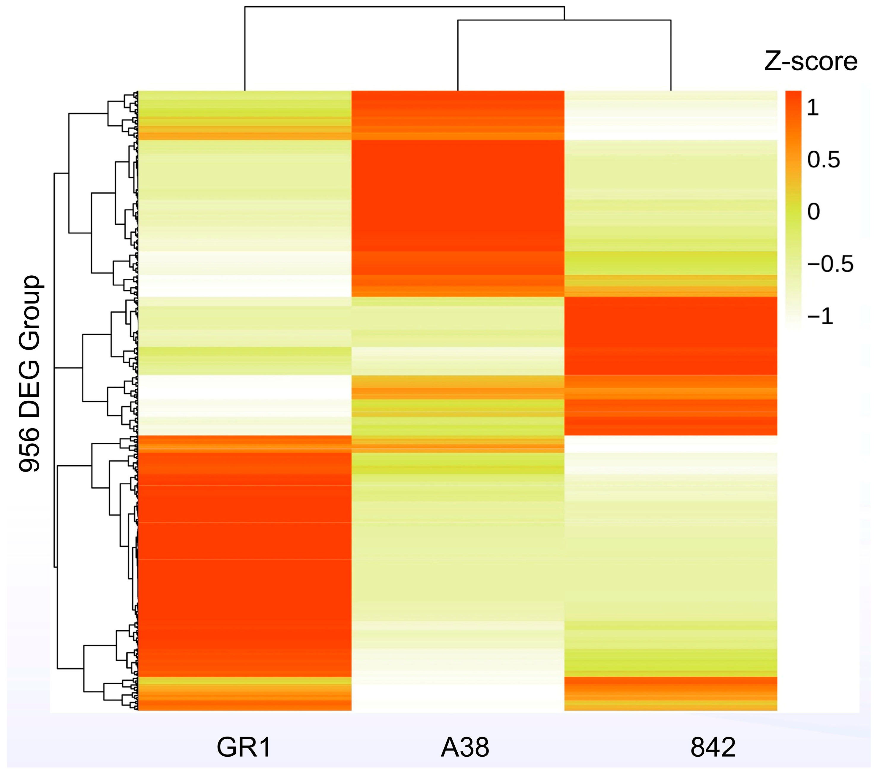 Forests 16 01775 g006