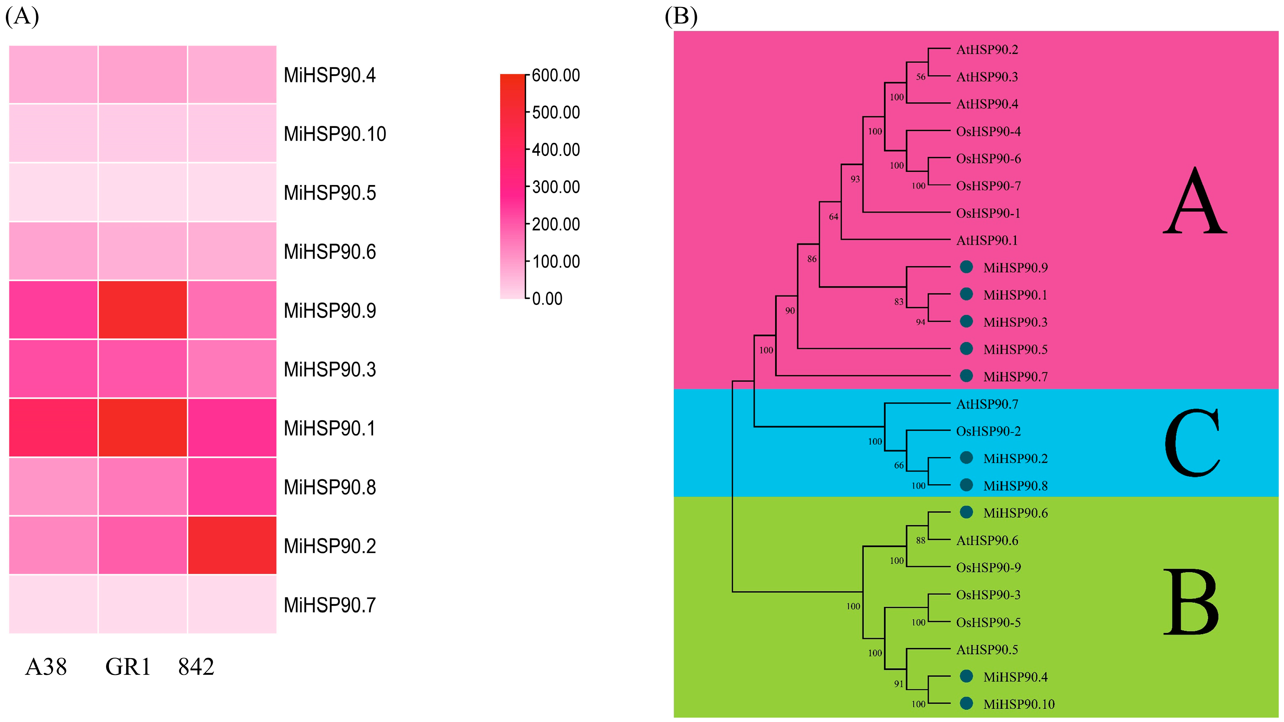 Forests 16 01775 g007