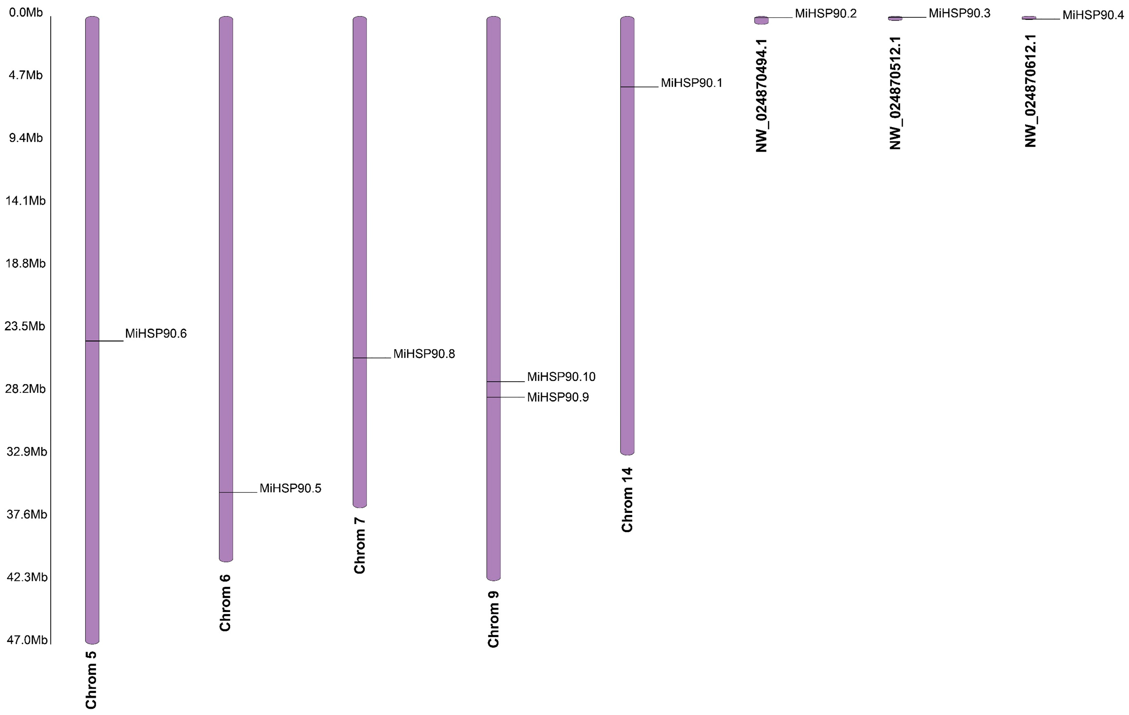 Forests 16 01775 g008