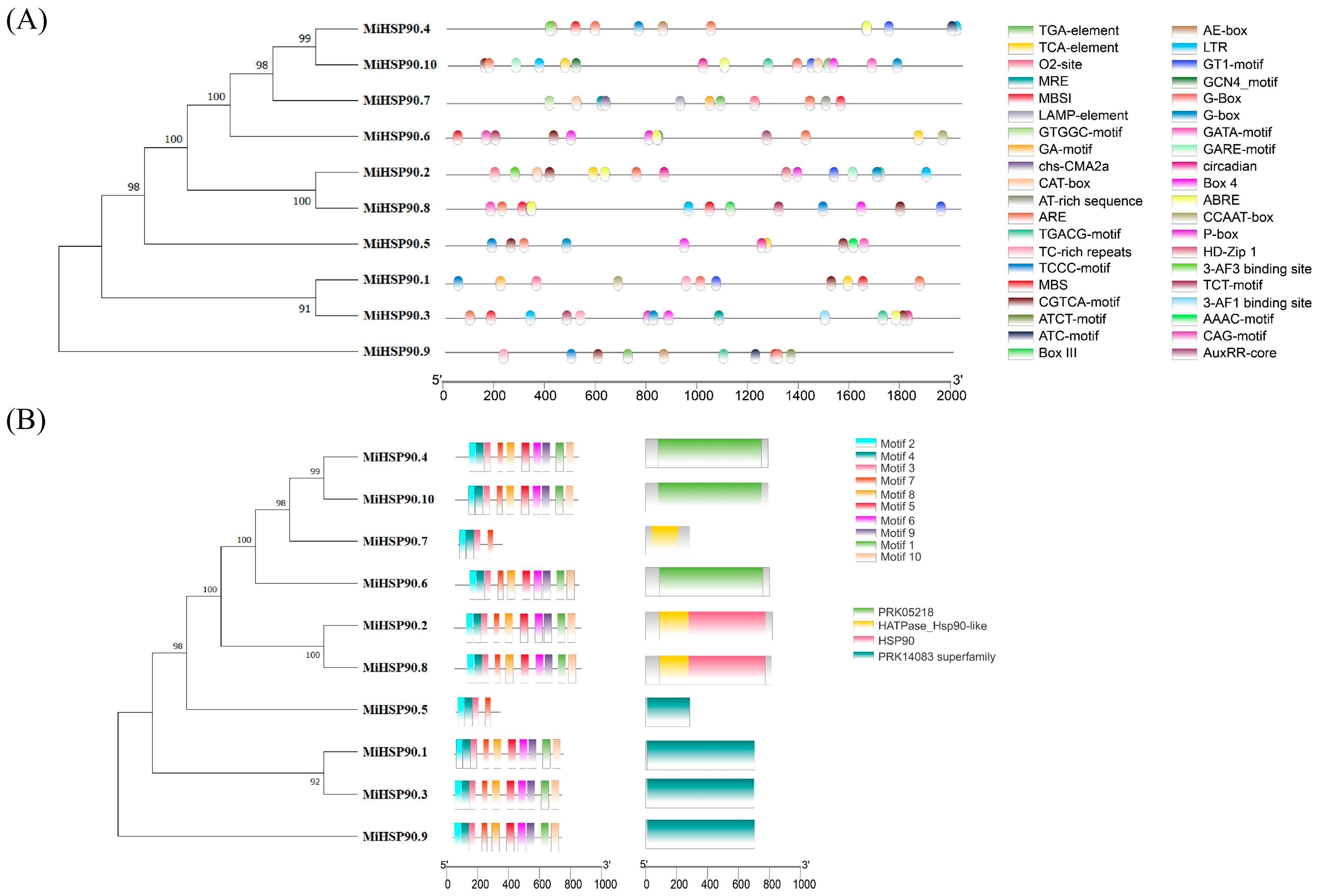 Forests 16 01775 g009