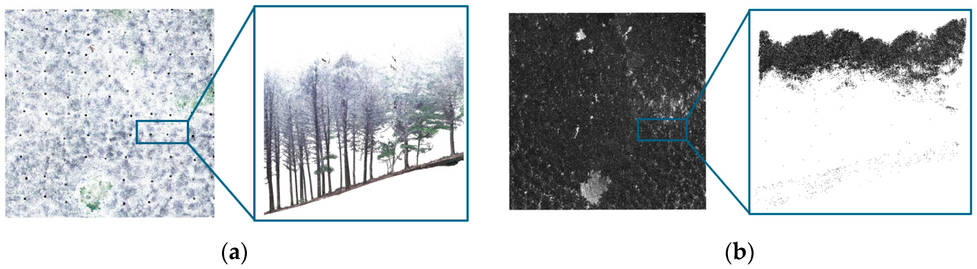 Forests 16 01776 g002 Forests 16 01776 g002