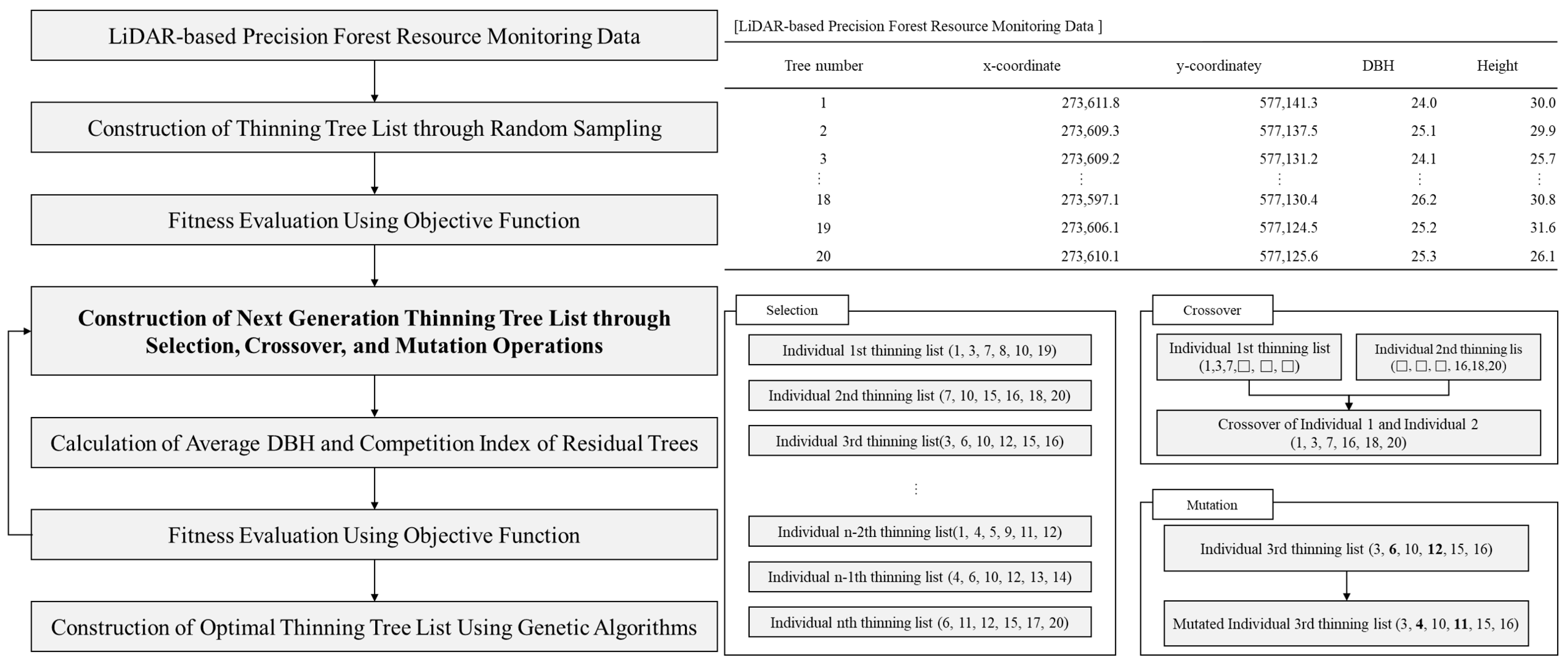 Forests 16 01776 g006 Forests 16 01776 g006
