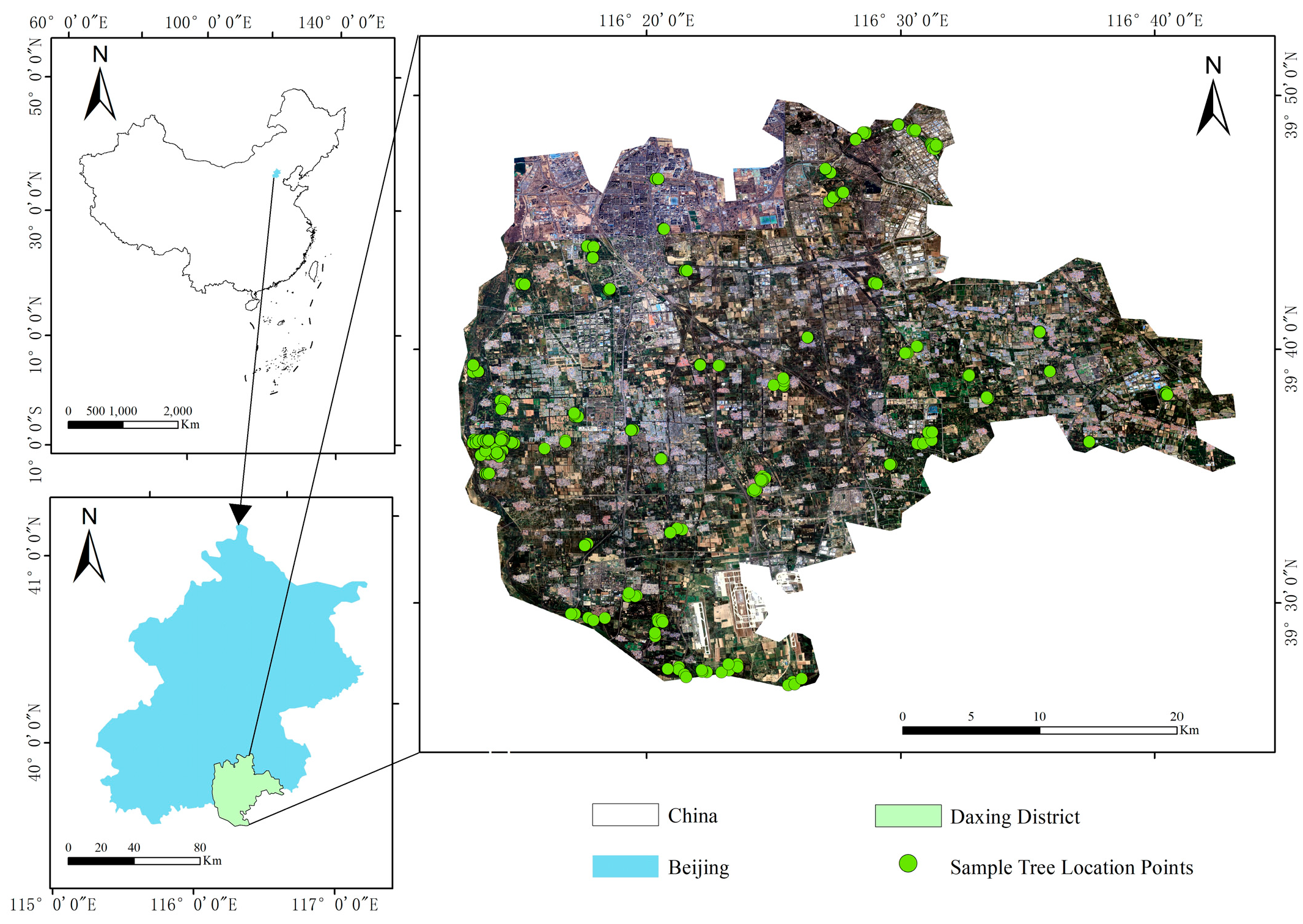 Forests 16 01777 g002 Forests 16 01777 g002
