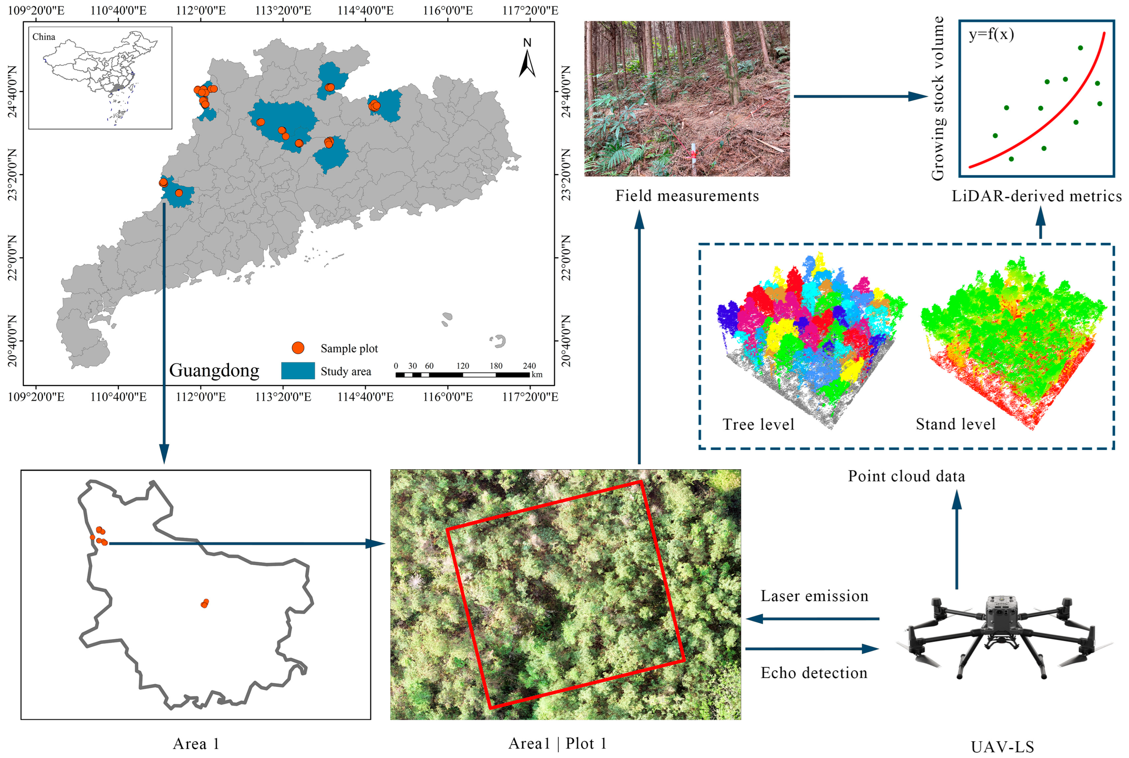 Forests 16 01779 g001