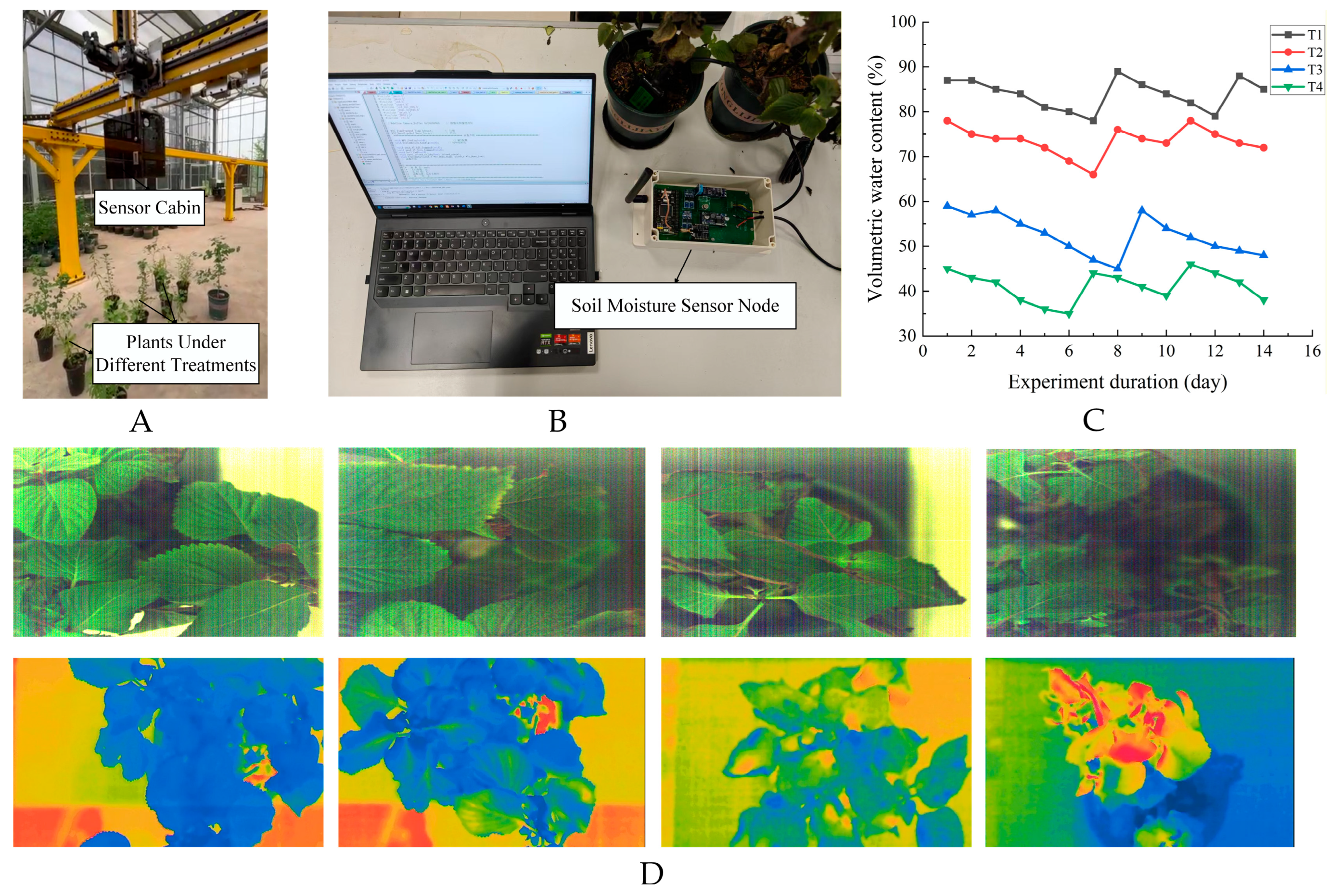 Forests 16 01785 g001