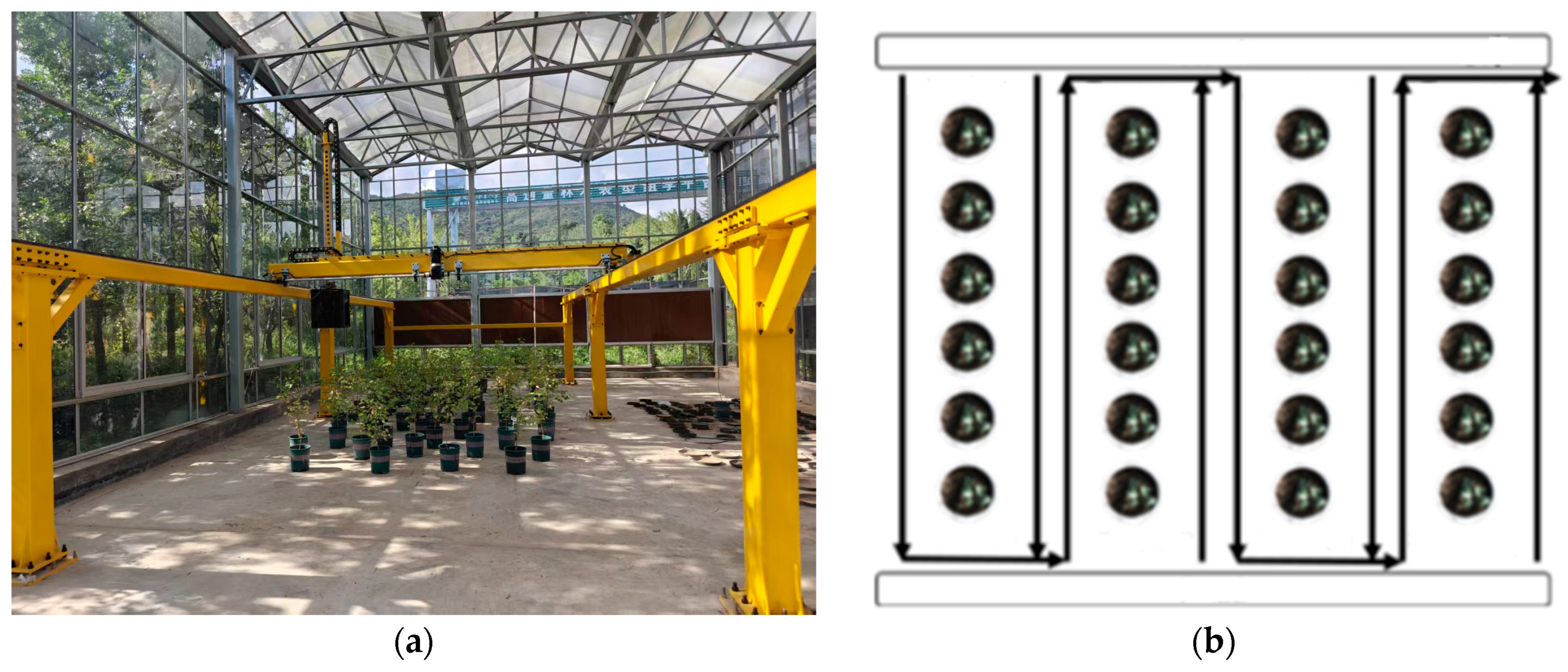 Forests 16 01785 g005