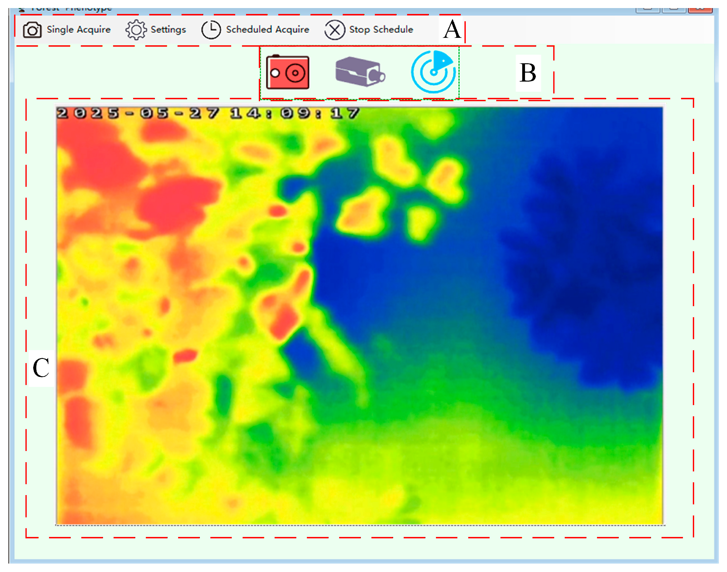 Forests 16 01785 g006
