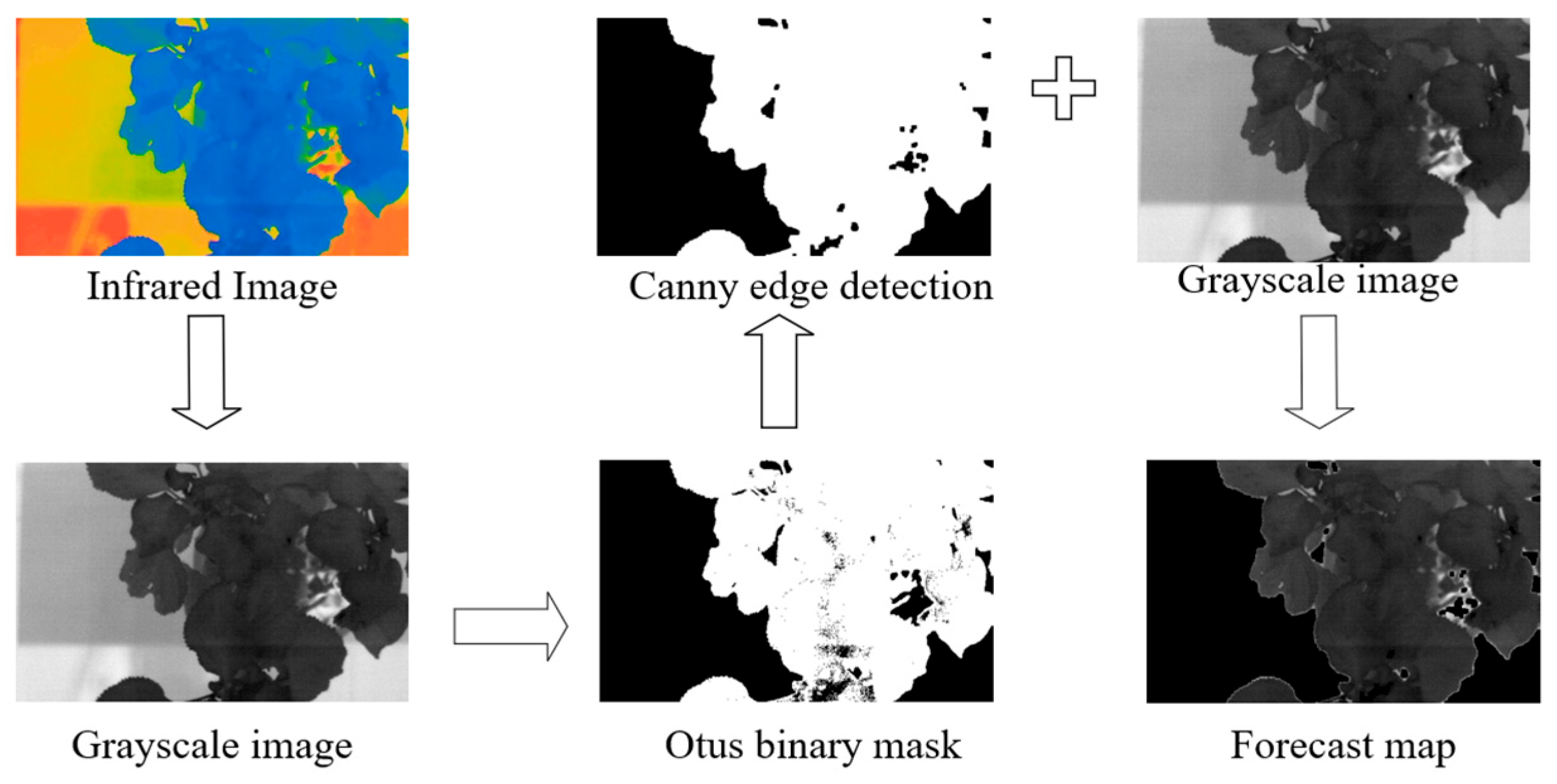 Forests 16 01785 g007