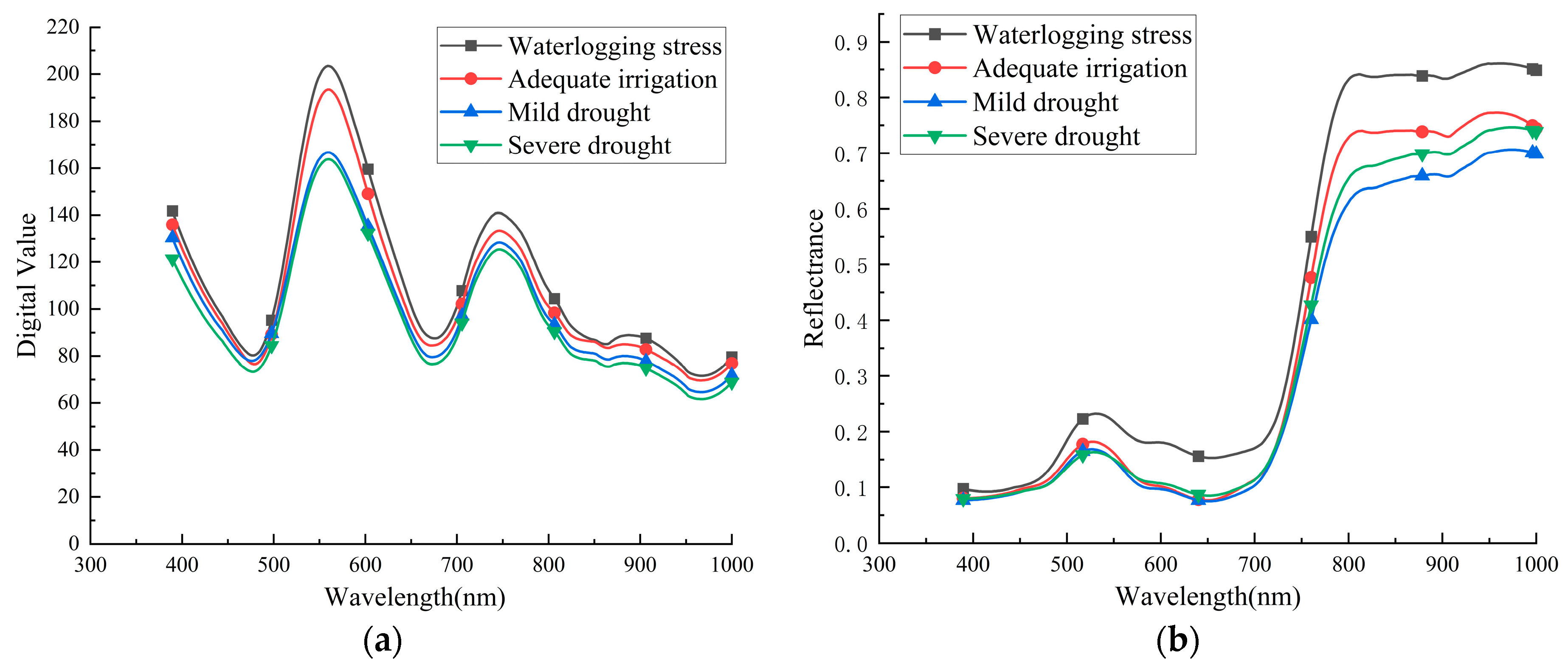 Forests 16 01785 g009