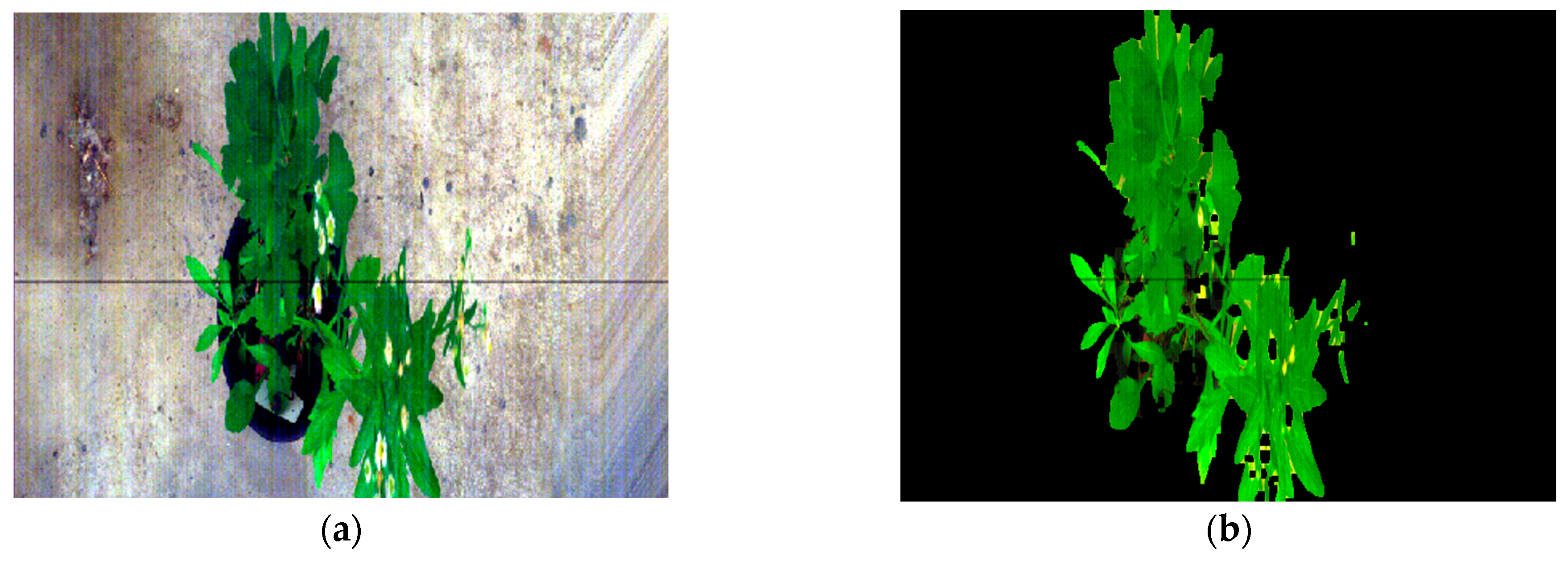 Forests 16 01785 g010