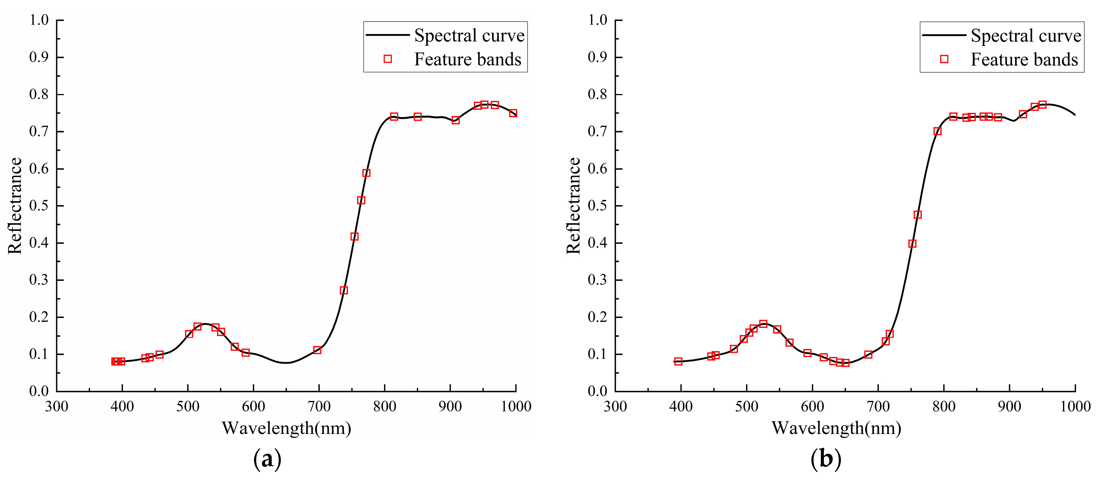 Forests 16 01785 g011